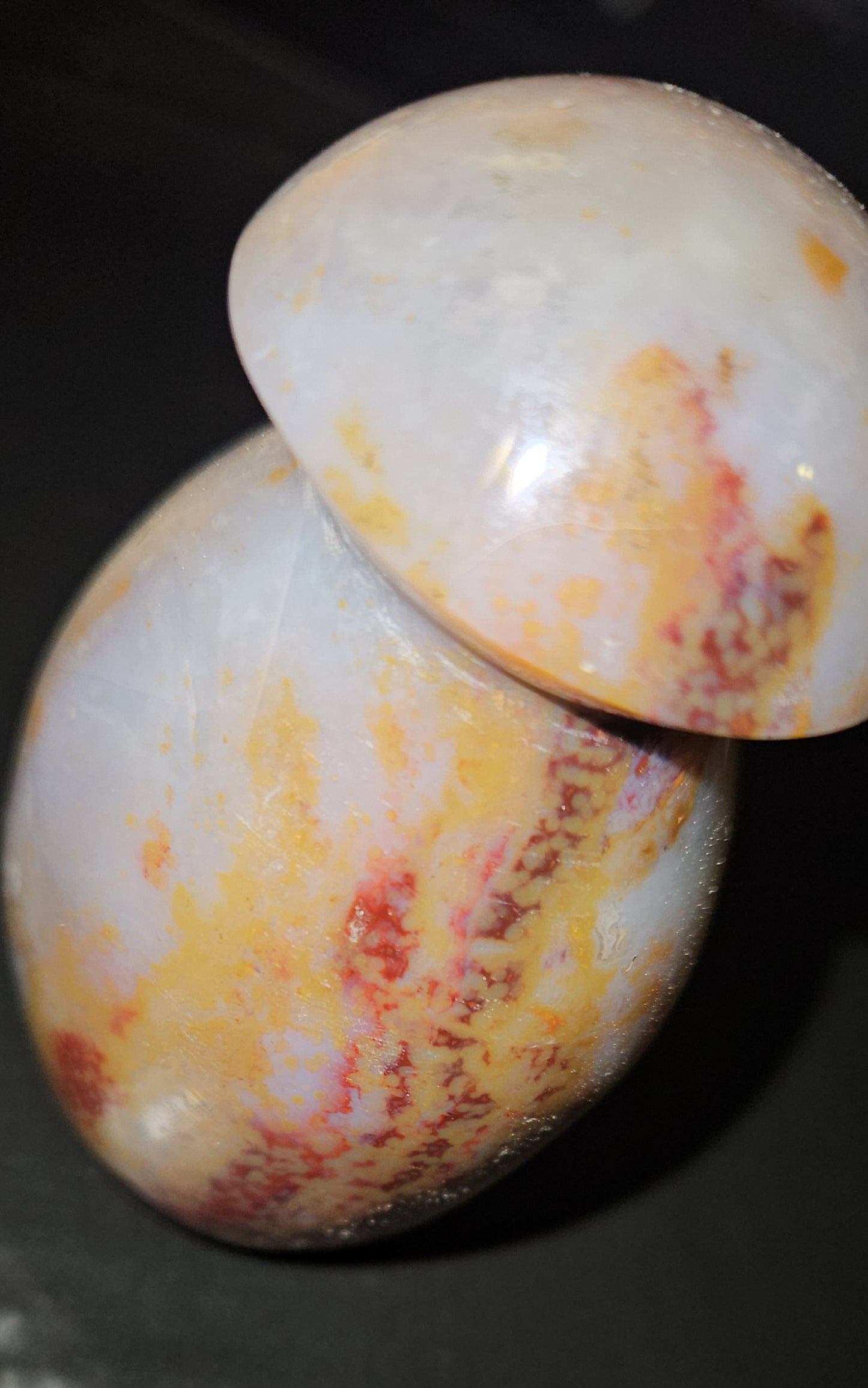 Ocean Jasper Mushroom