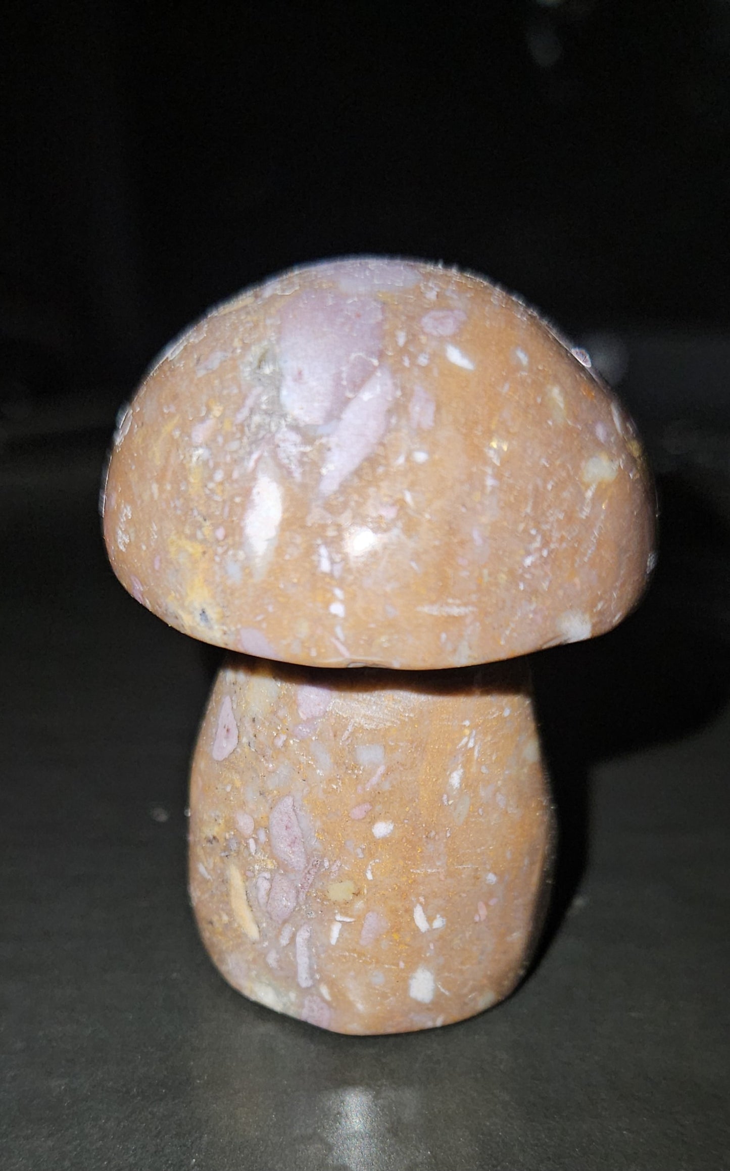 Ocean Jasper Mushroom