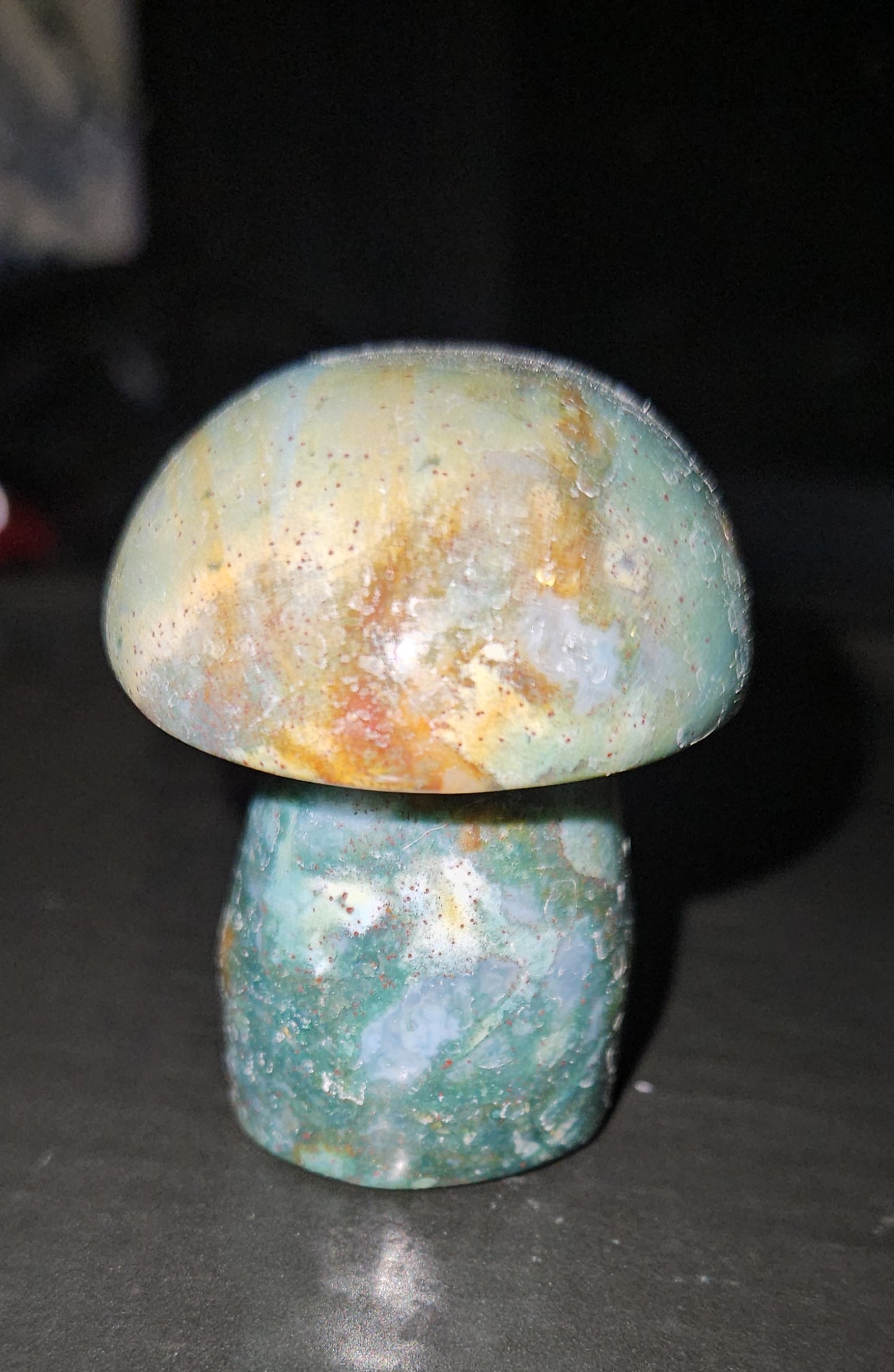 Ocean Jasper Mushroom