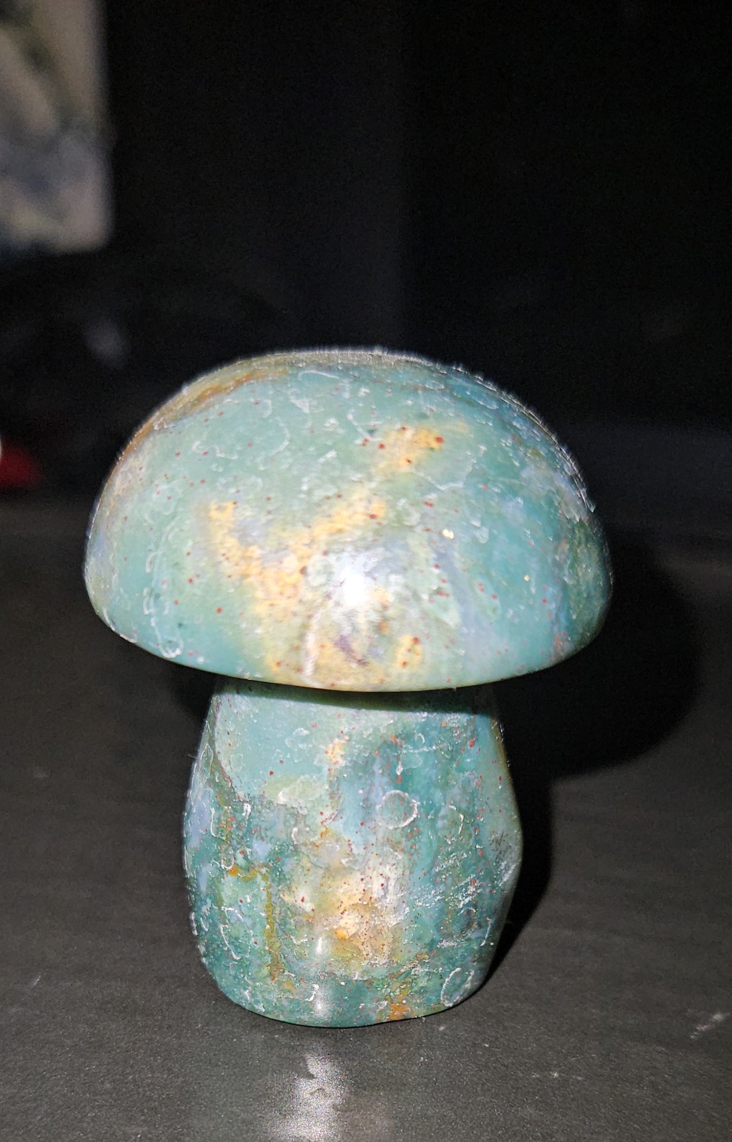 Ocean Jasper Mushroom