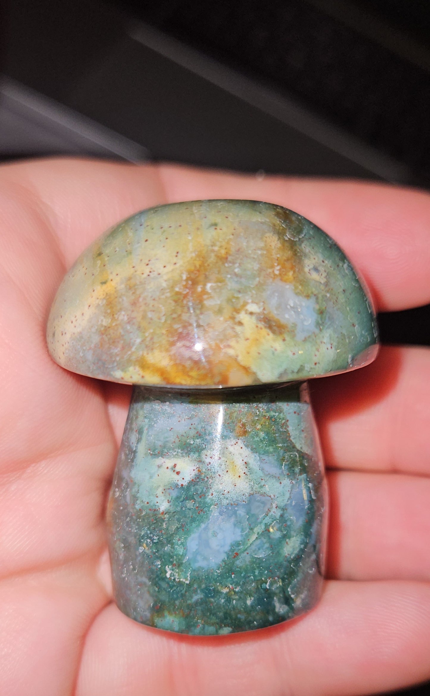 Ocean Jasper Mushroom