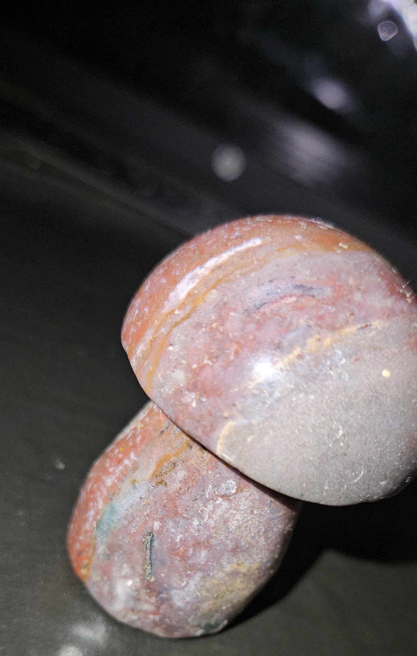 Ocean Jasper Mushroom