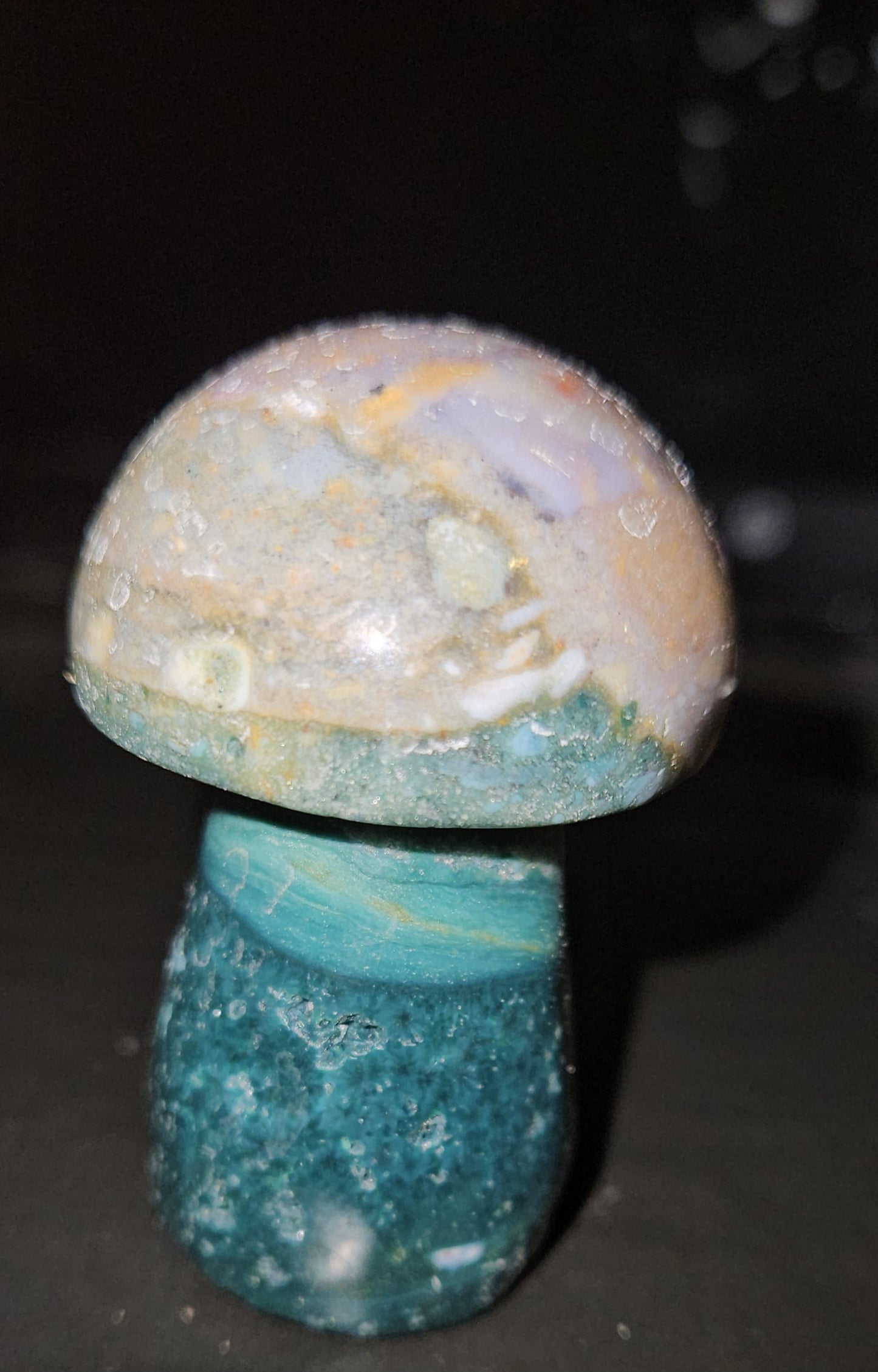 Ocean Jasper Mushroom