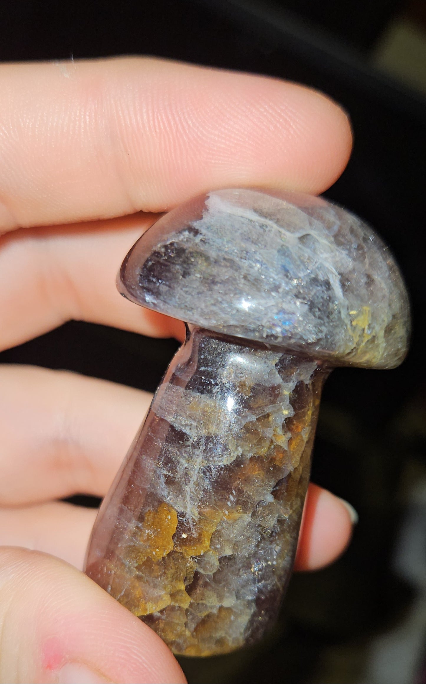 Super 7 Mushroom