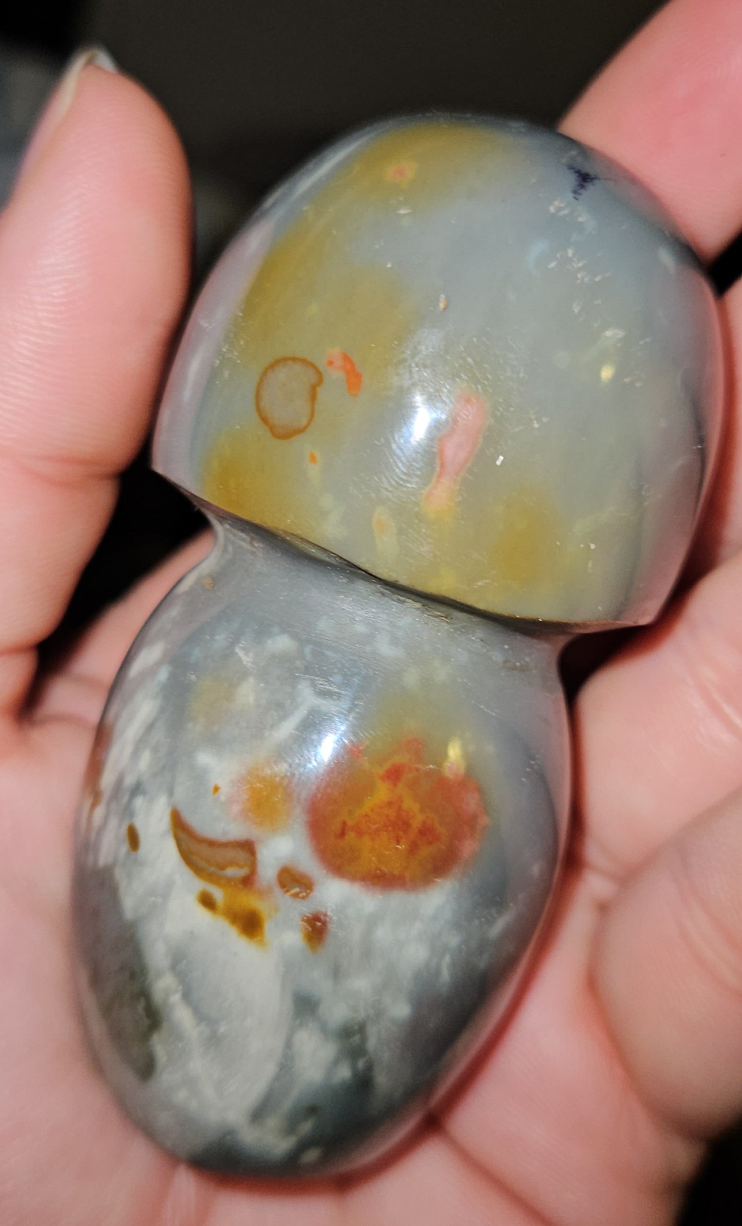 Polychrome Jasper Mushroom