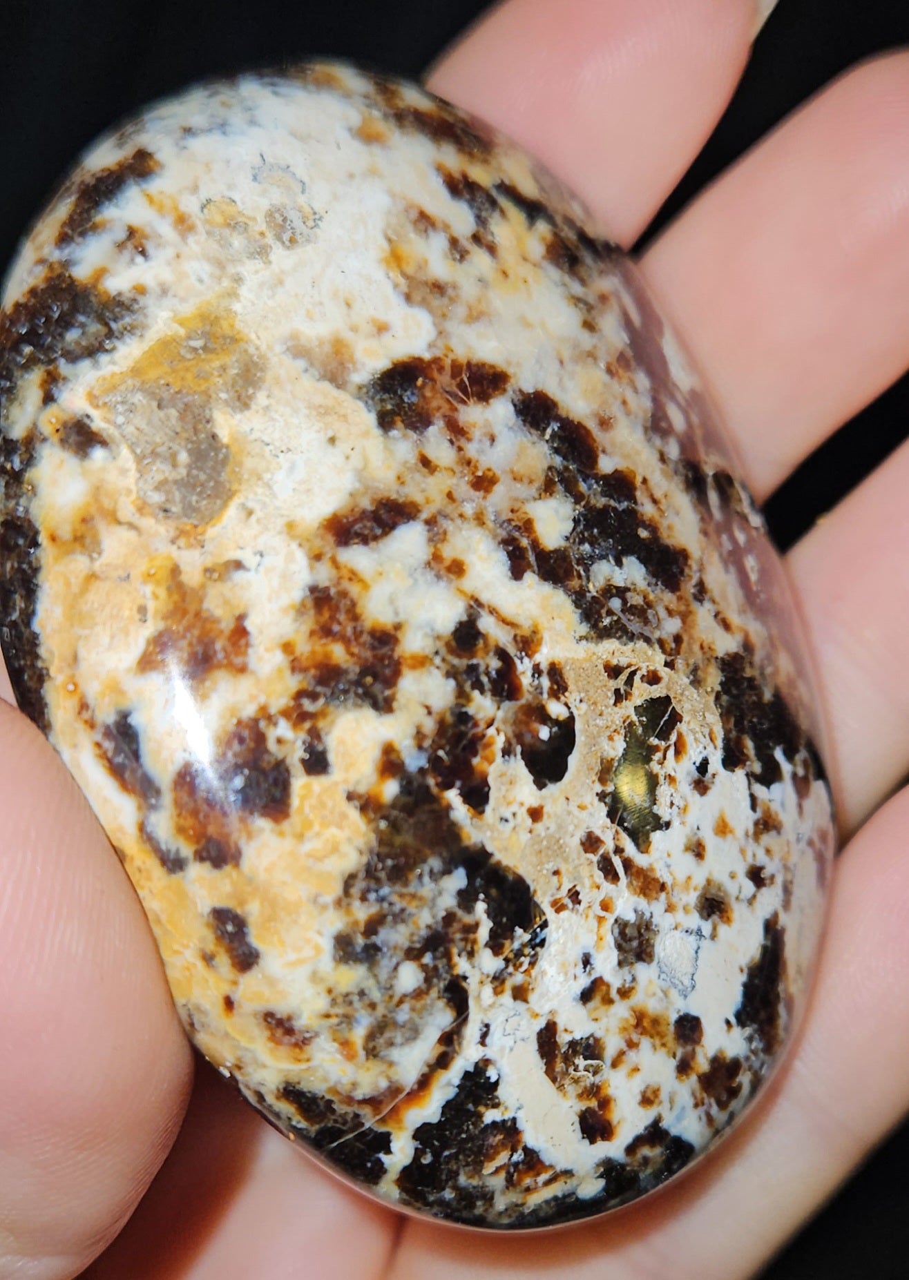 Black Opal Palm Stone