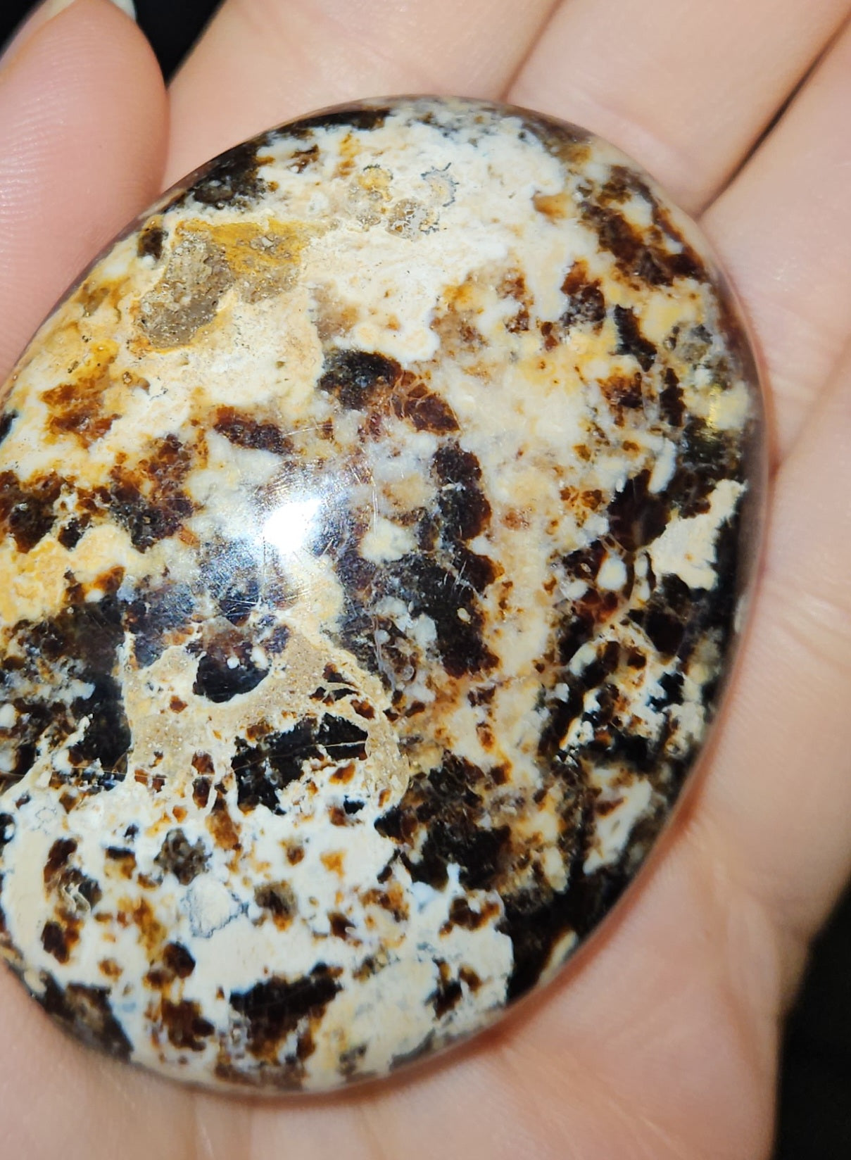Black Opal Palm Stone