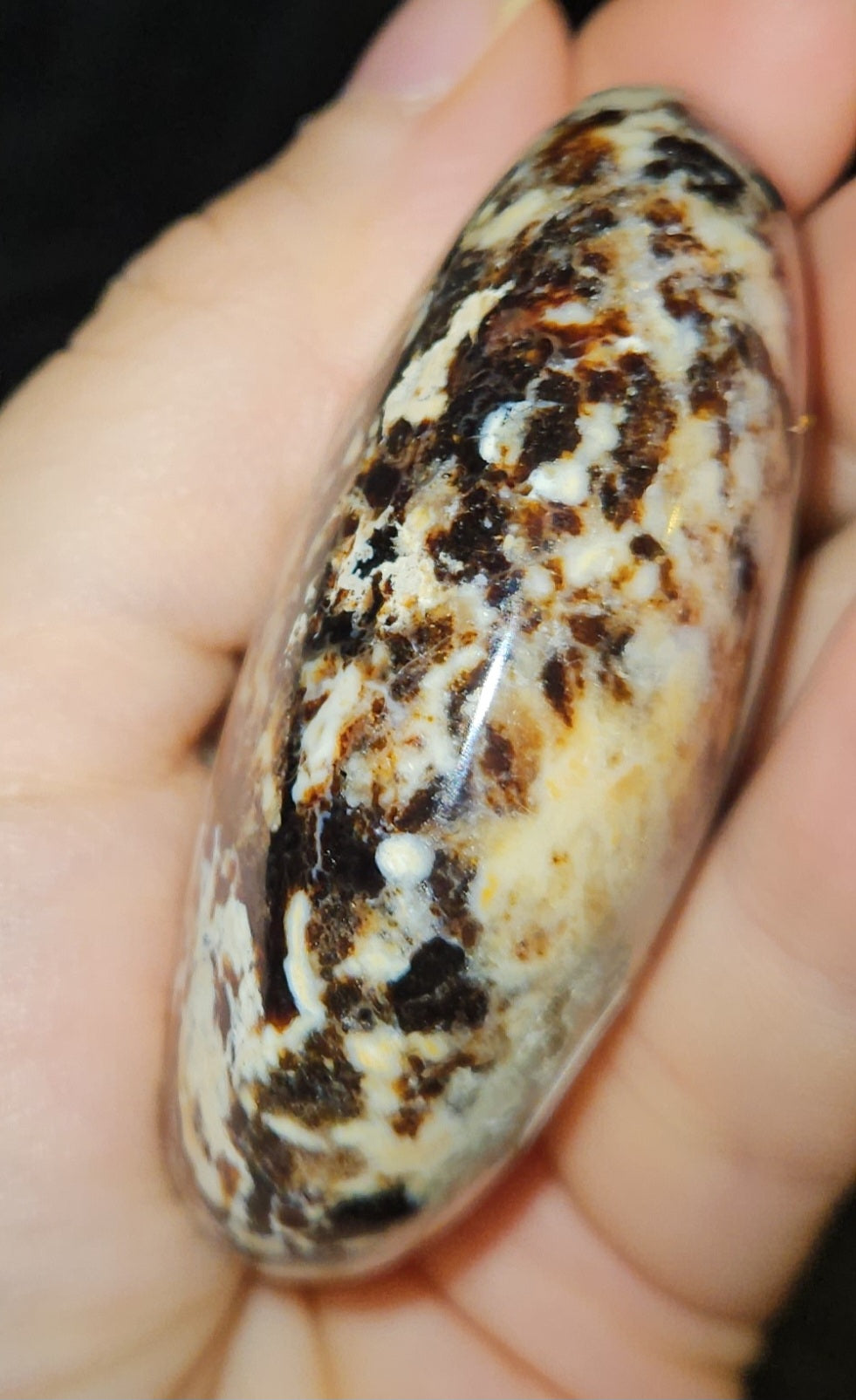 Black Opal Palm Stone