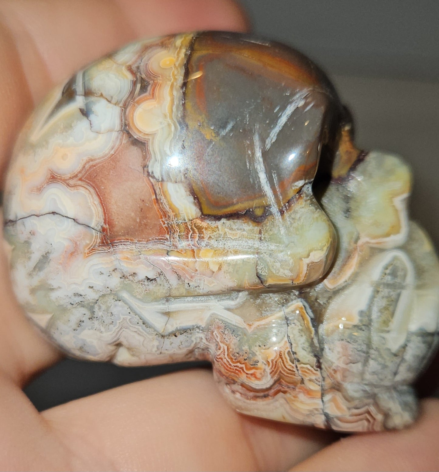 Mexican Crazy Lace Agate