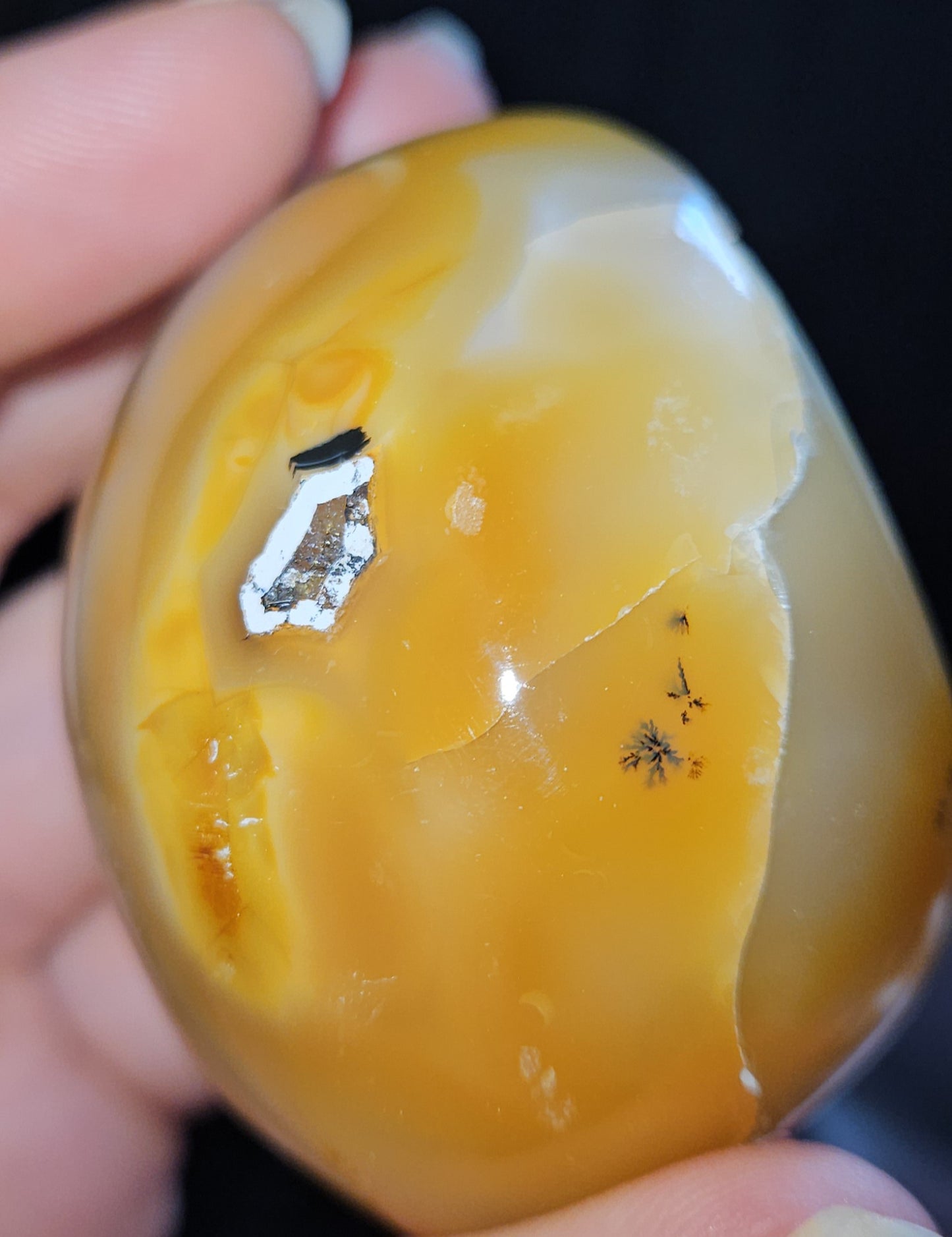 Dendritic Agate Egg Geode