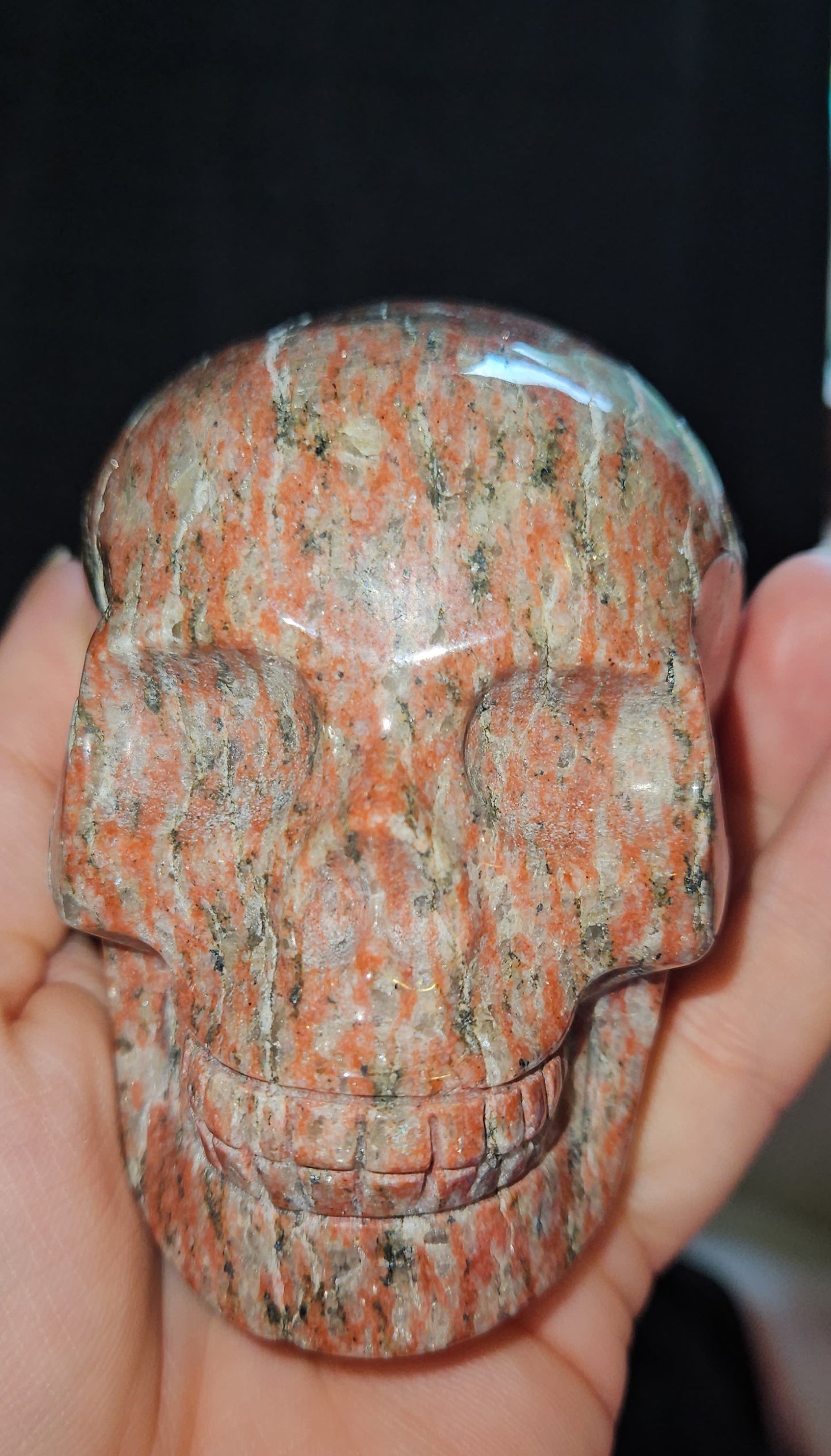 Red Zebra Jasper Skull