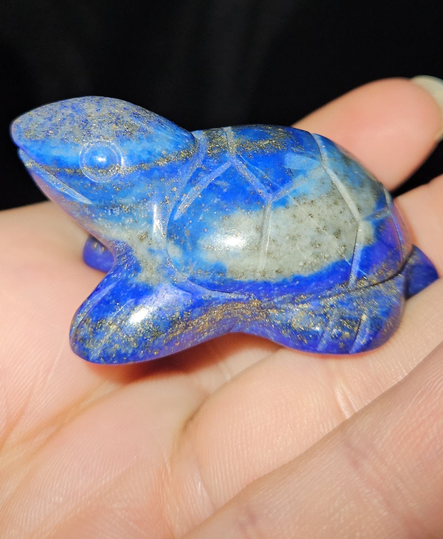 Lapis Lazuli Turtle
