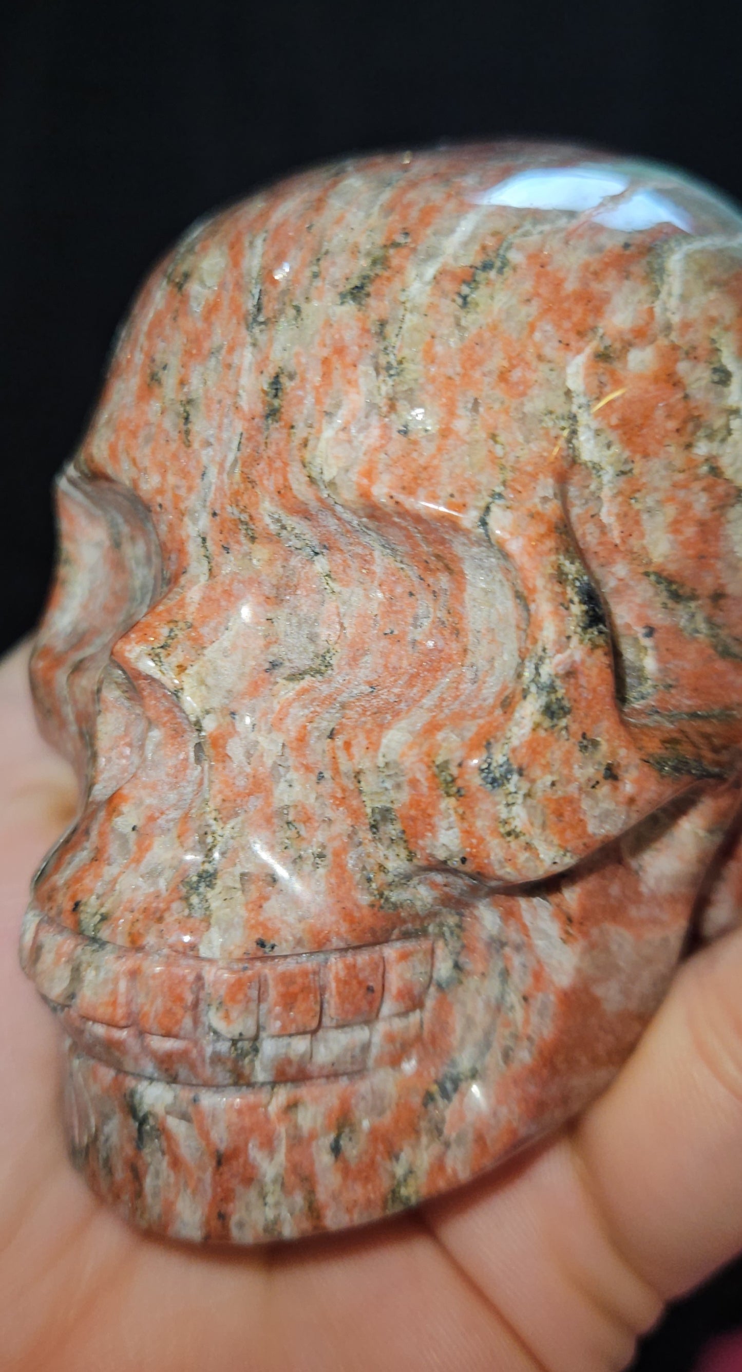 Red Zebra Jasper Skull