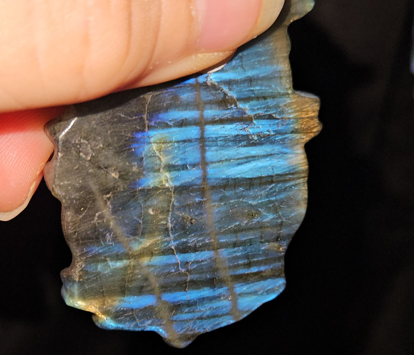 Labradorite Medusa