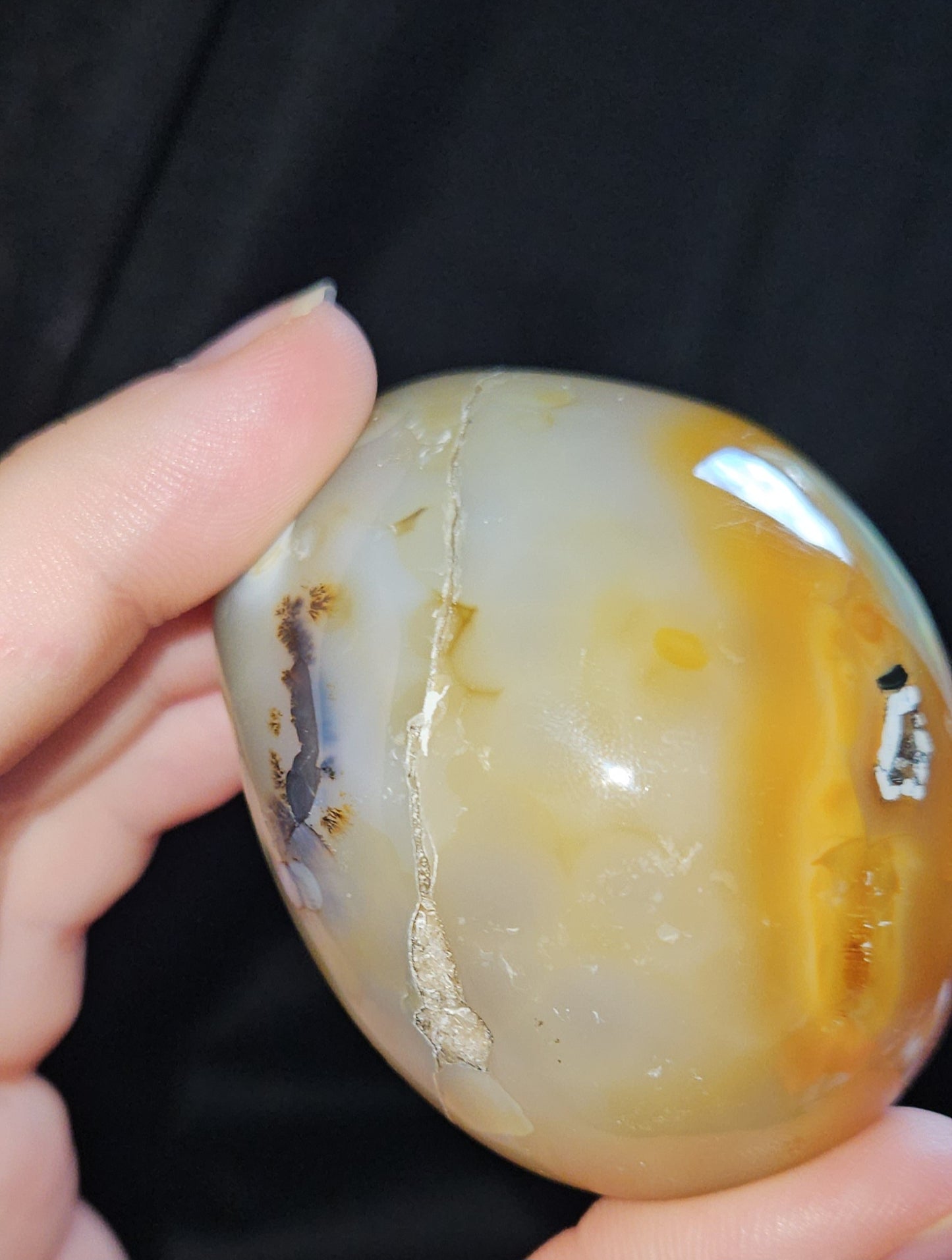 Dendritic Agate Egg Geode