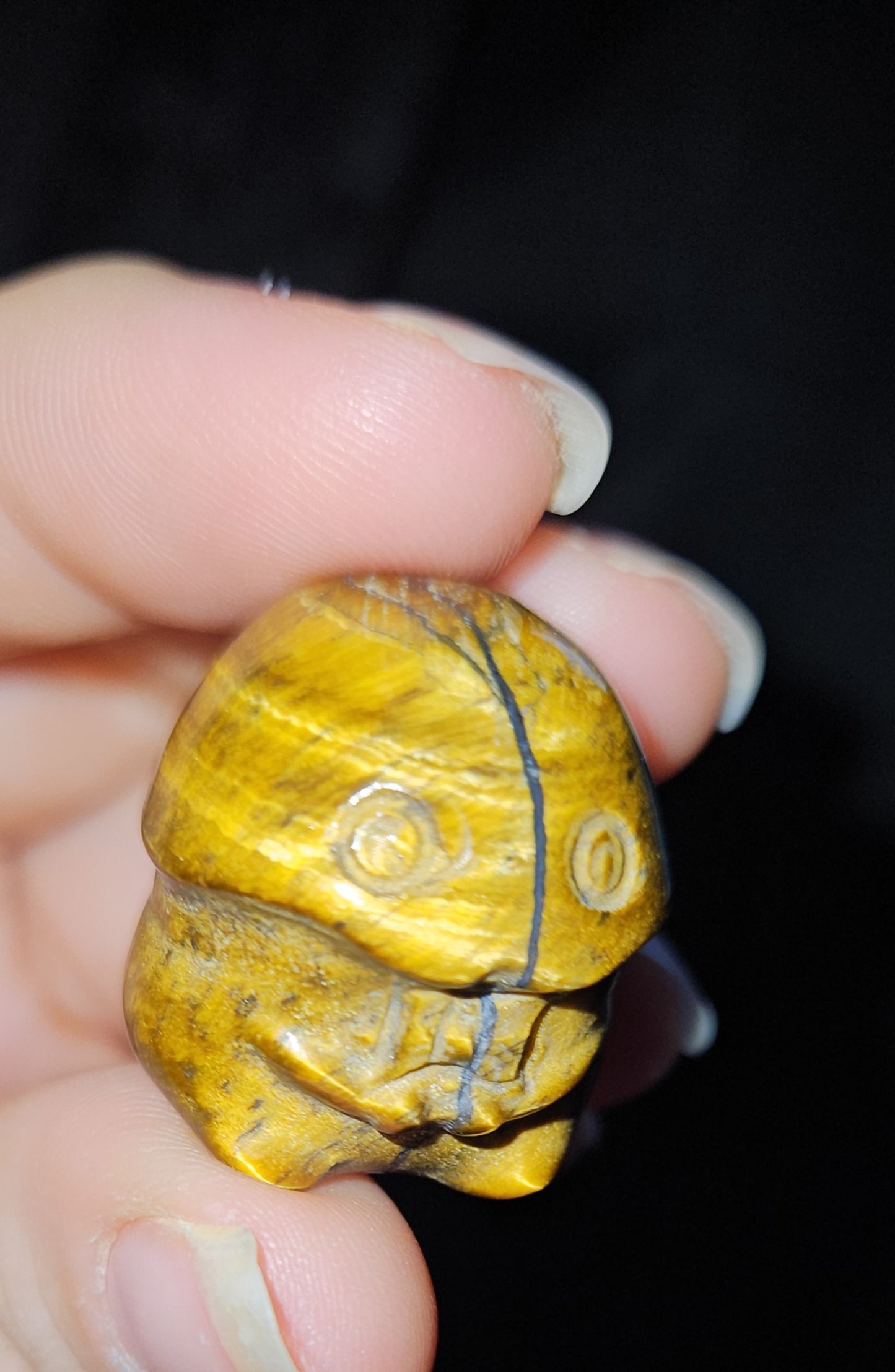 Tigers Eye Ding Ding