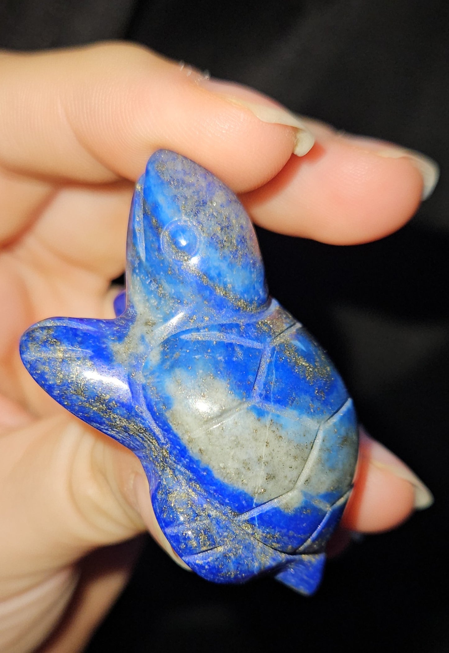Lapis Lazuli Turtle