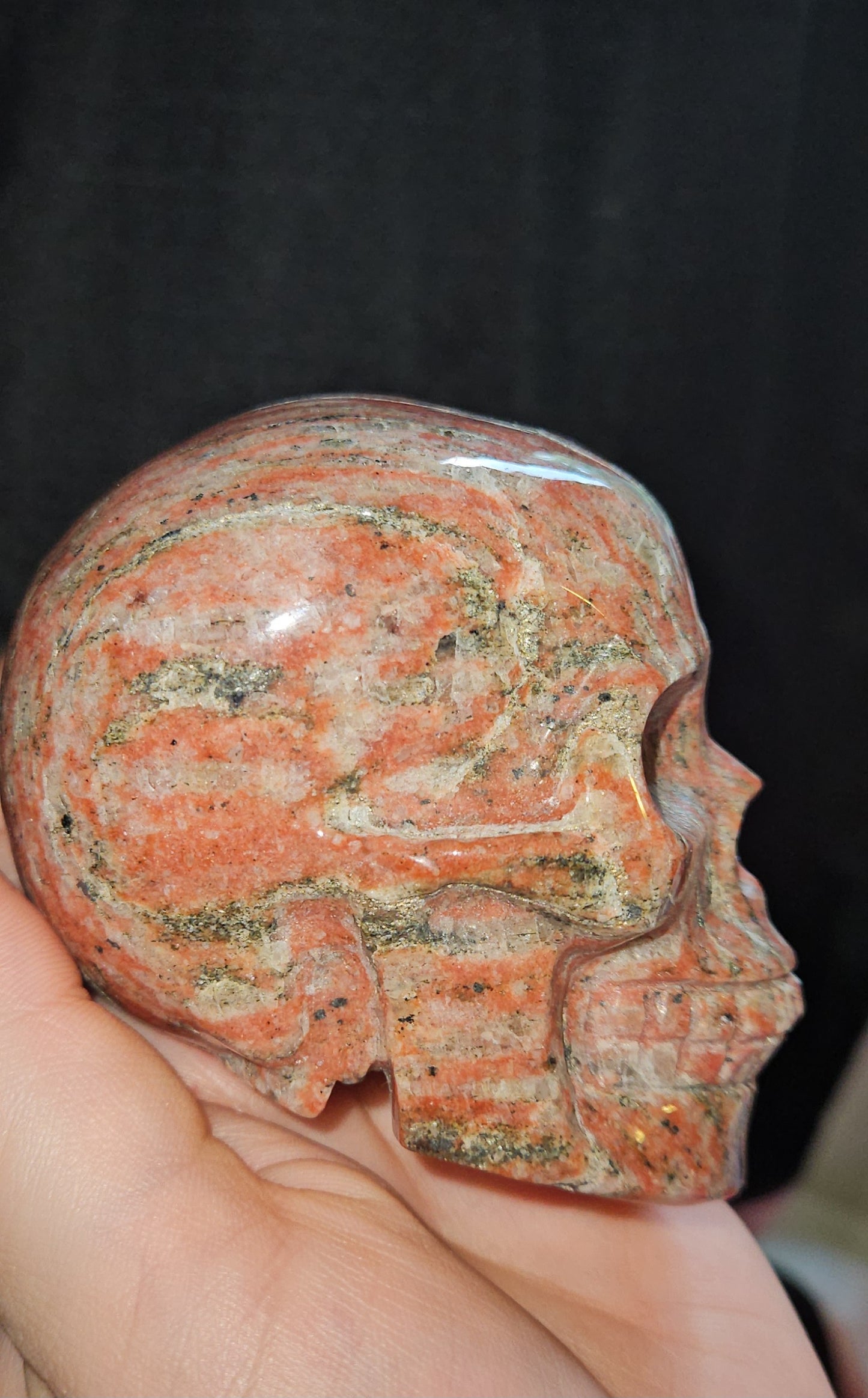 Red Zebra Jasper Skull