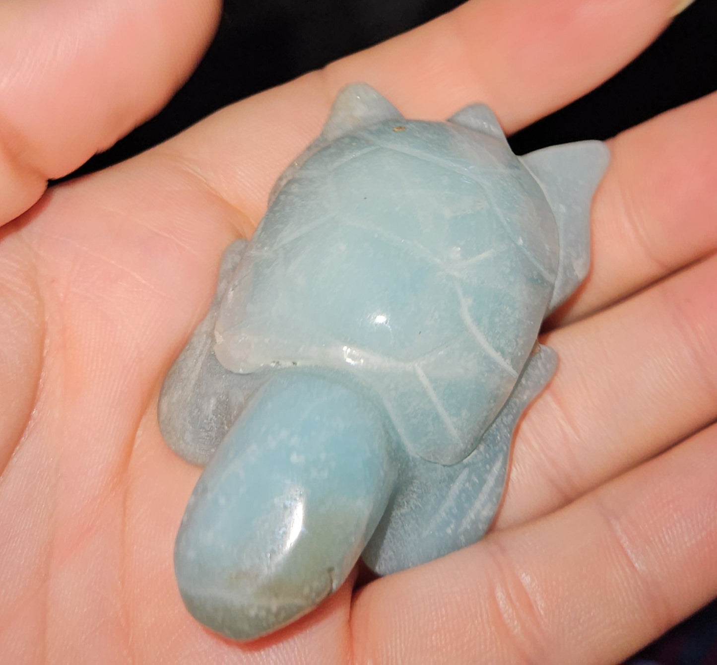 Caribbean Calcite Sea Turtle