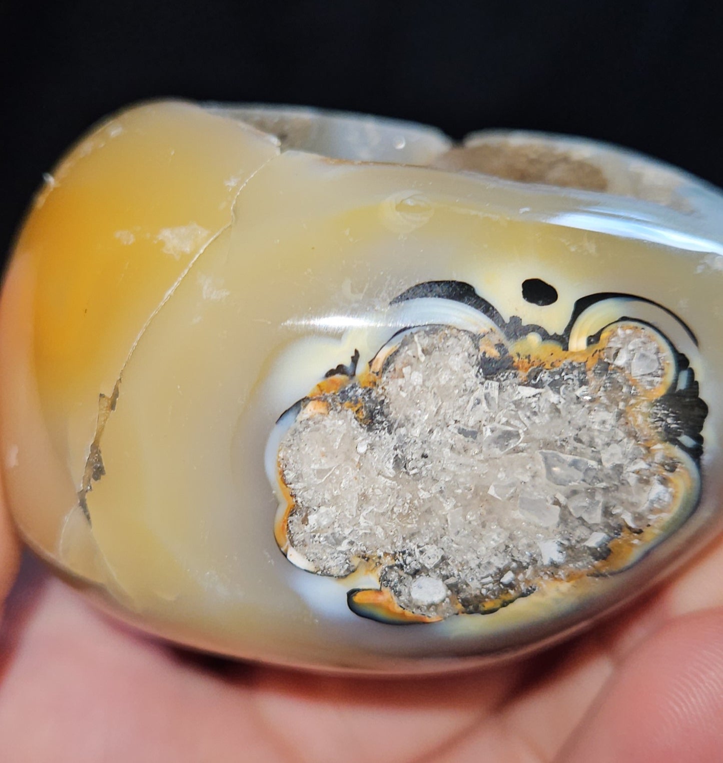 Dendritic Agate Egg Geode