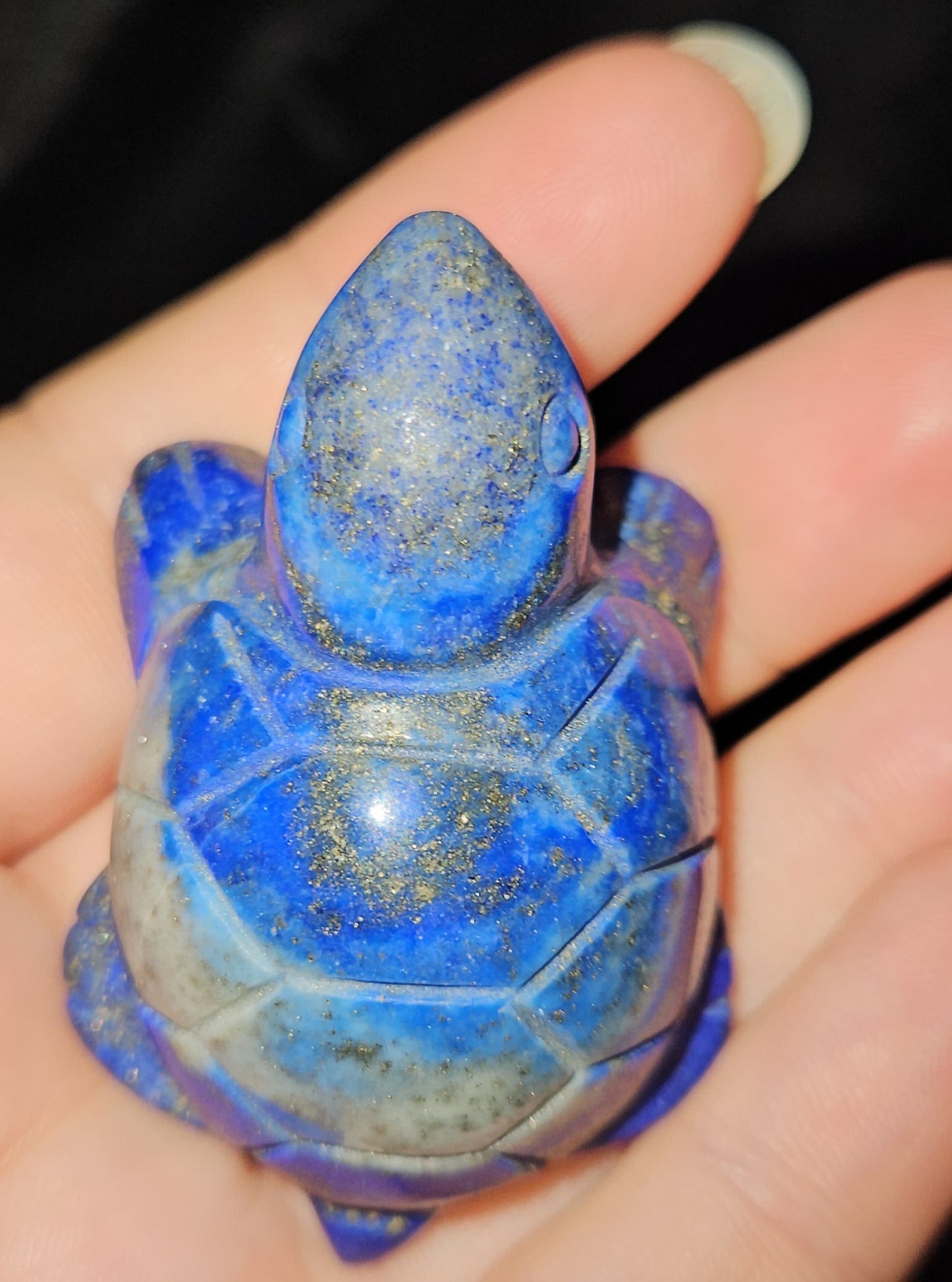 Lapis Lazuli Turtle