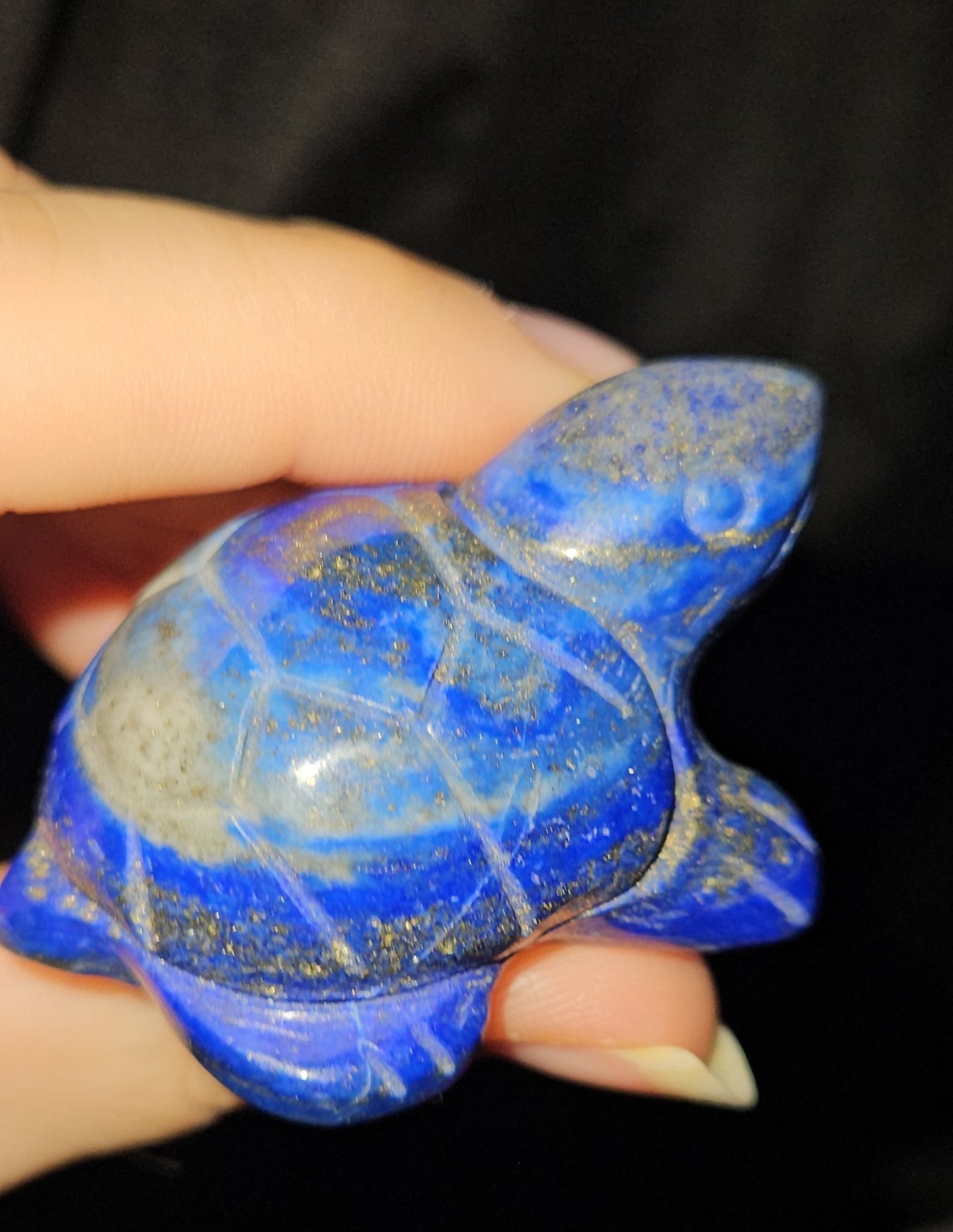 Lapis Lazuli Turtle