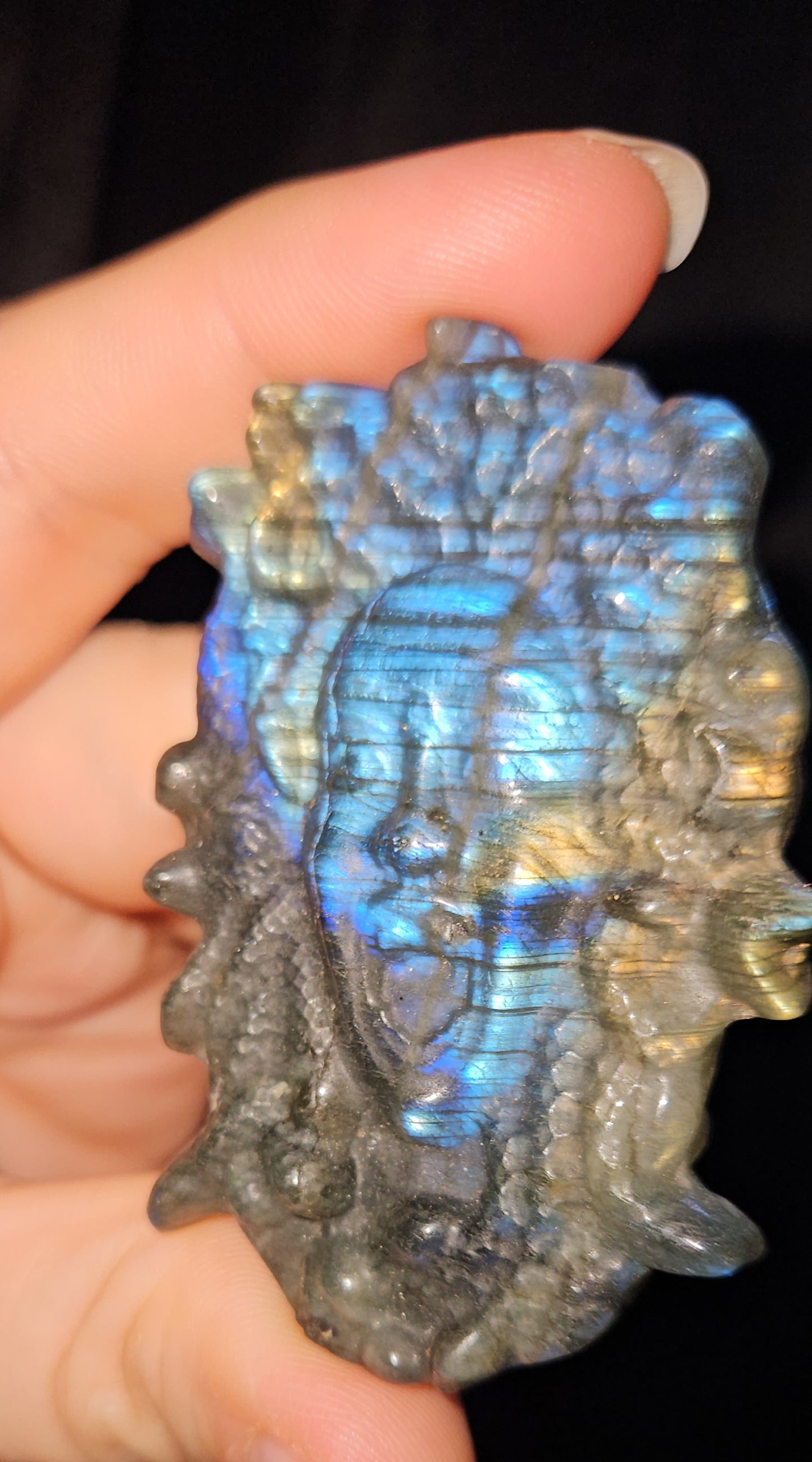 Labradorite Medusa
