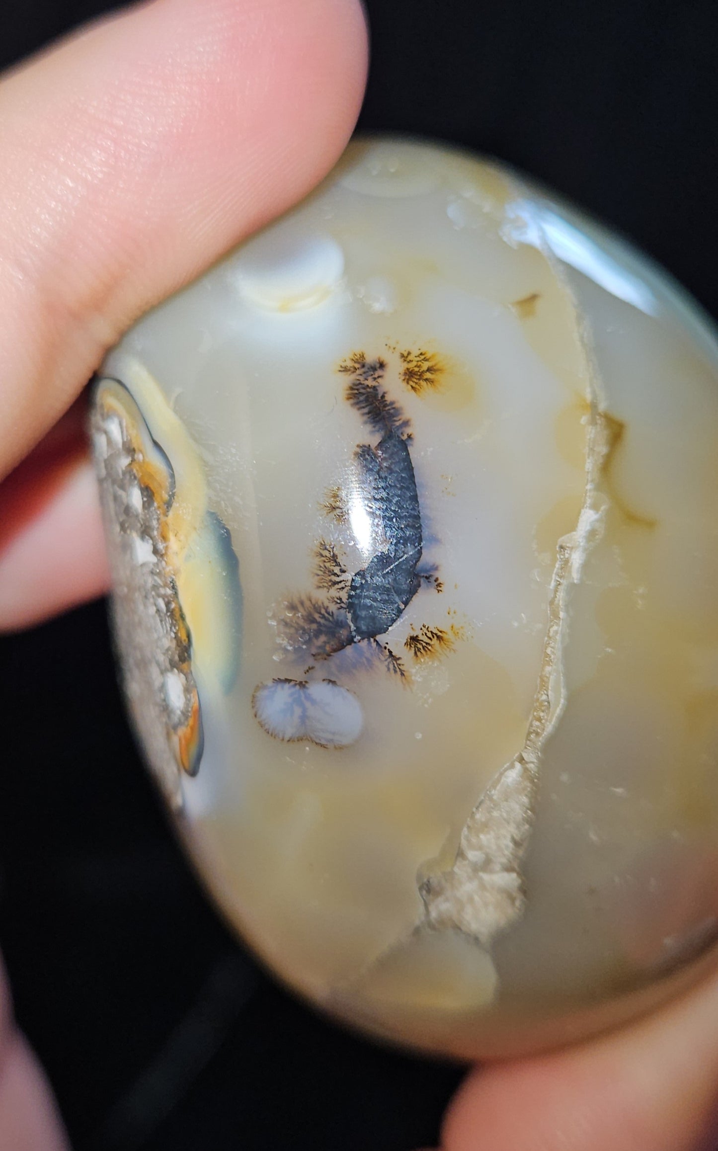 Dendritic Agate Egg Geode