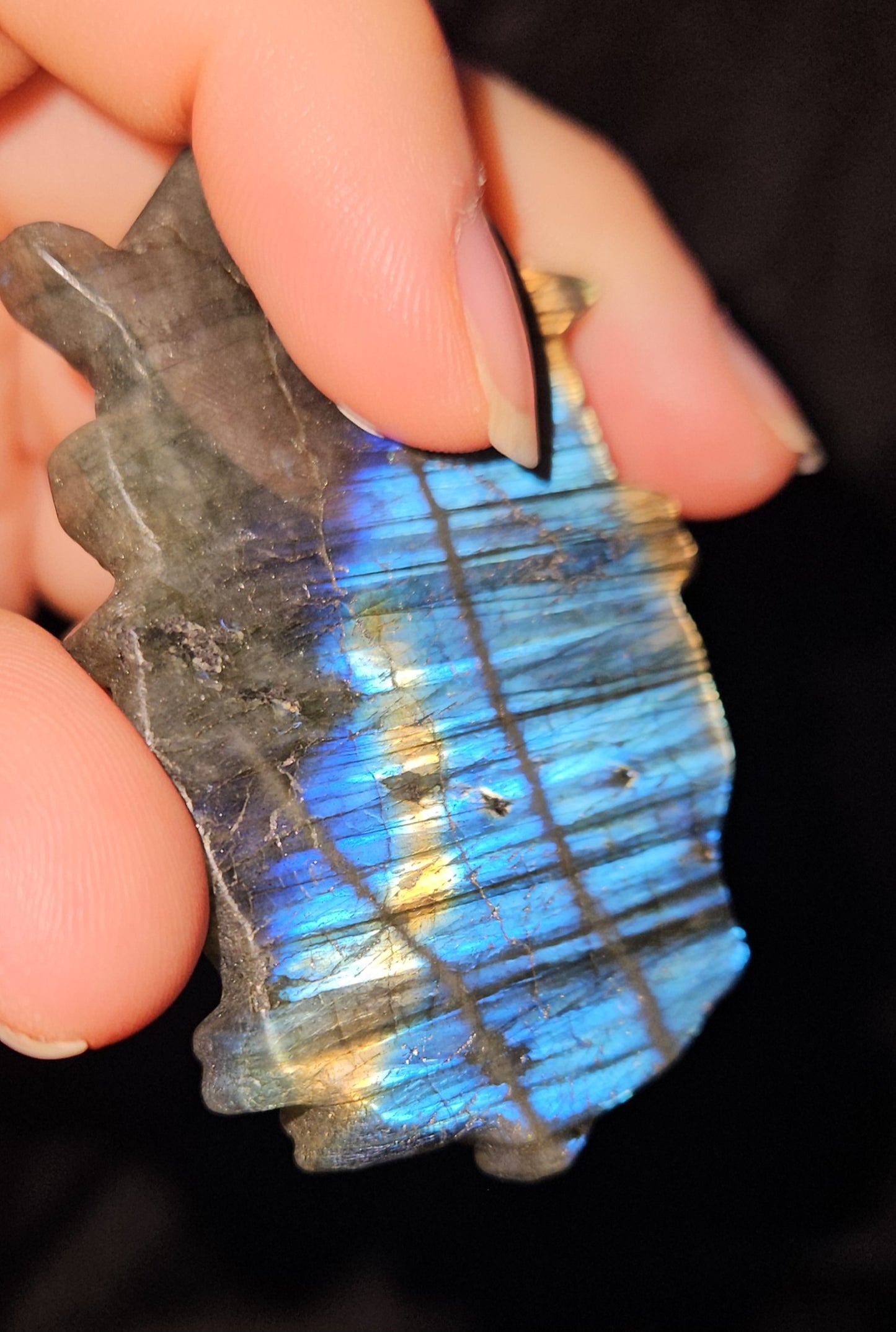 Labradorite Medusa