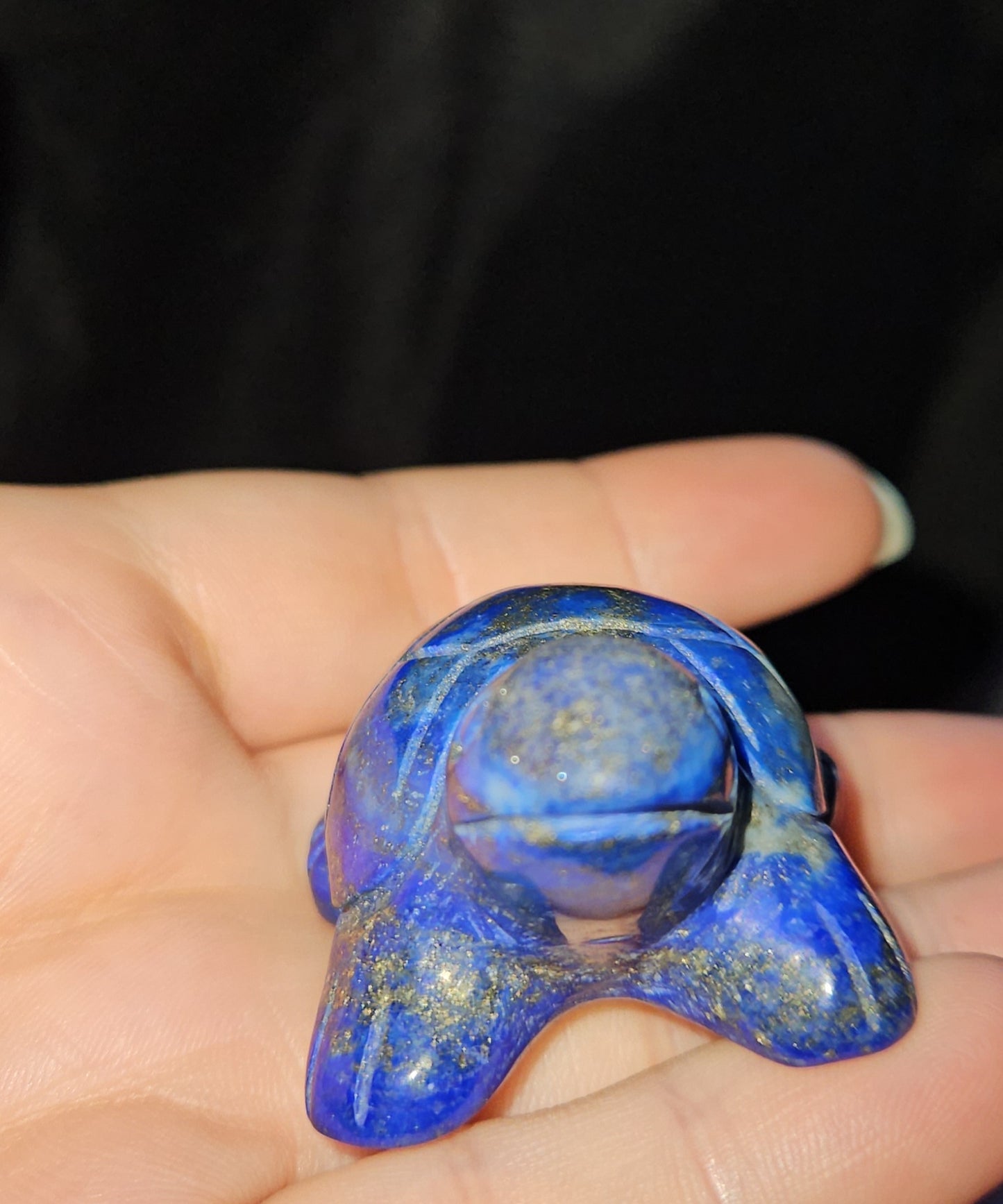 Lapis Lazuli Turtle
