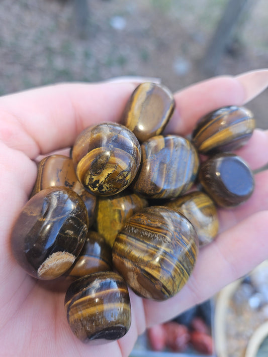 Tigers Eye