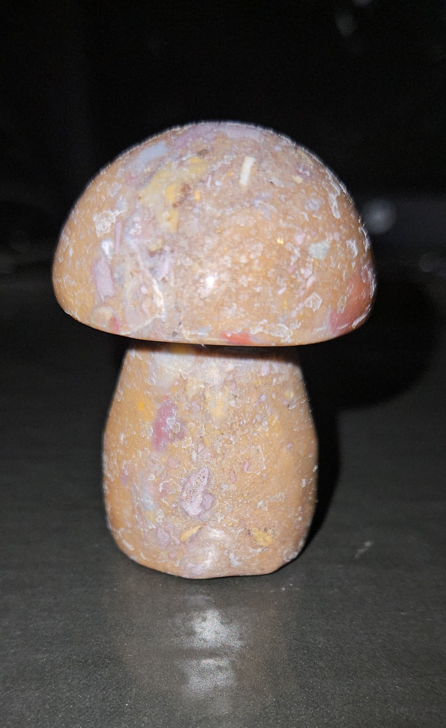 Ocean Jasper Mushroom