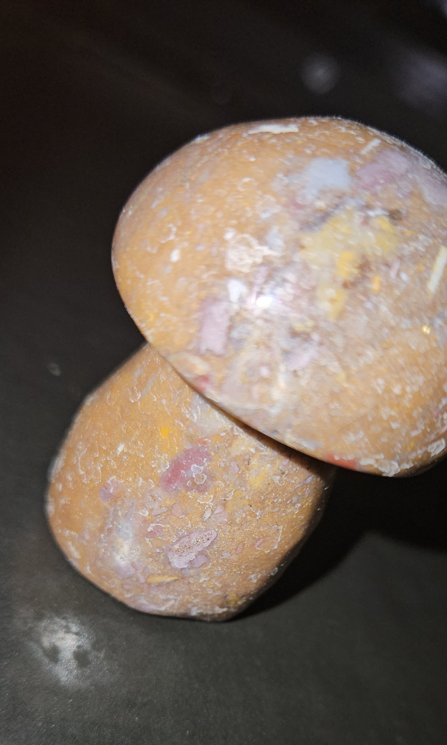 Ocean Jasper Mushroom