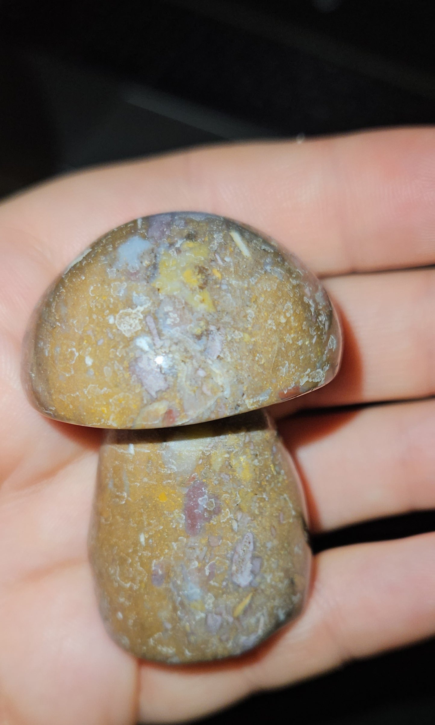 Ocean Jasper Mushroom