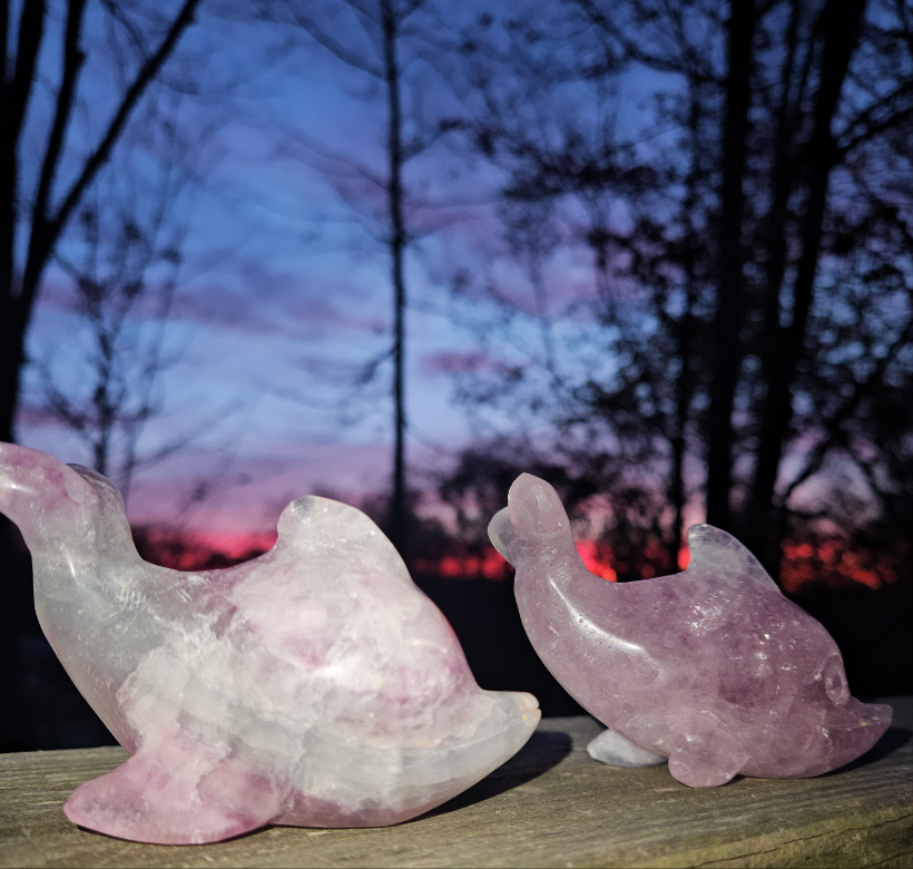 Fluorite Dolphin