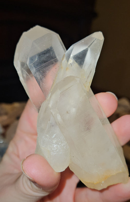 Lemurian Cluster