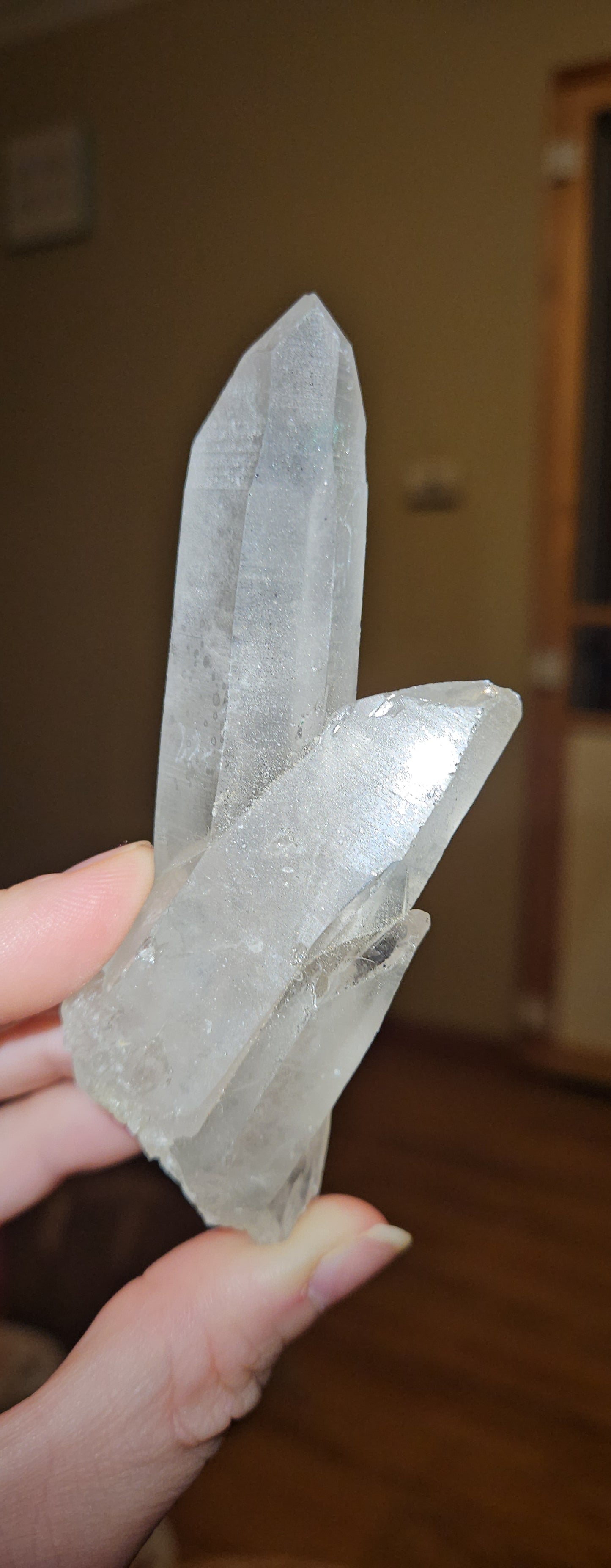 Lemurian Clusters
