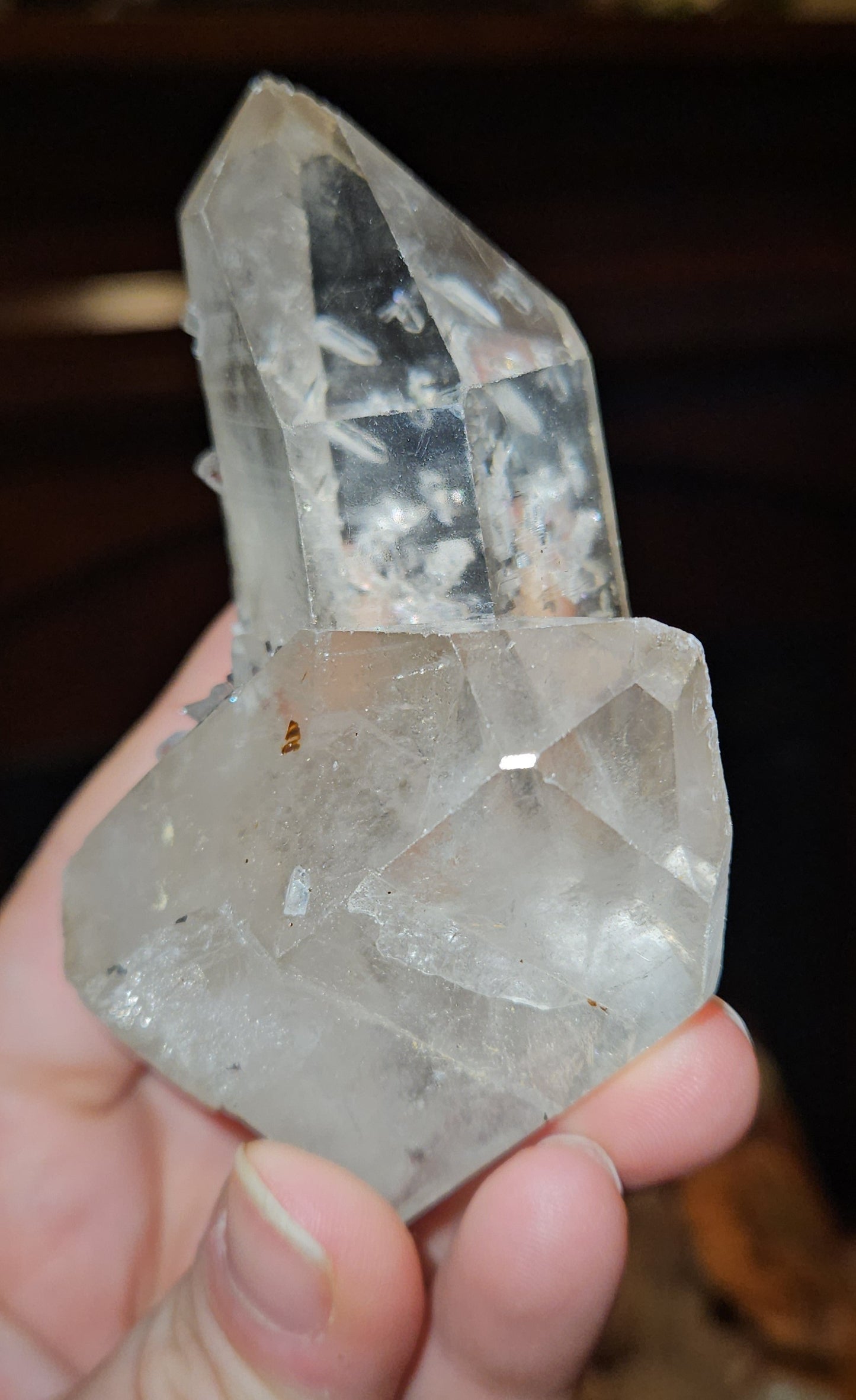 AAA Quality Lemurian Cluster