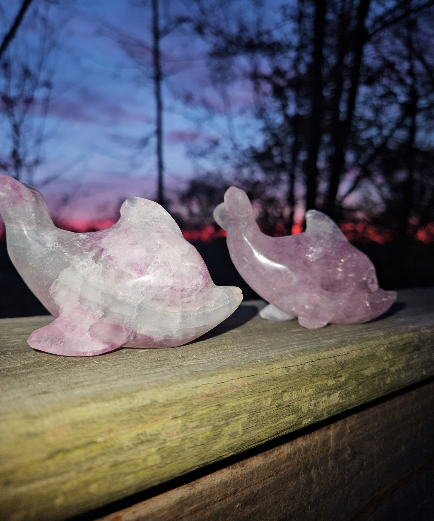 Fluorite Dolphin