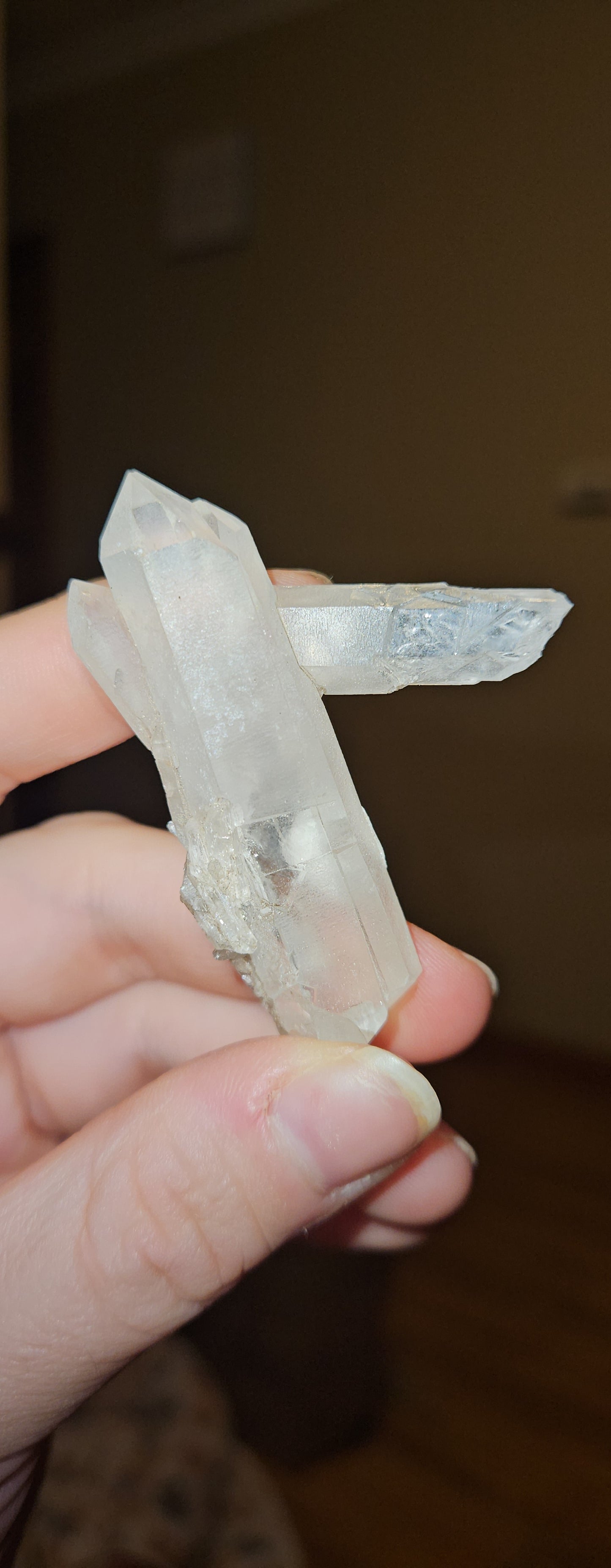 Lemurian Clusters