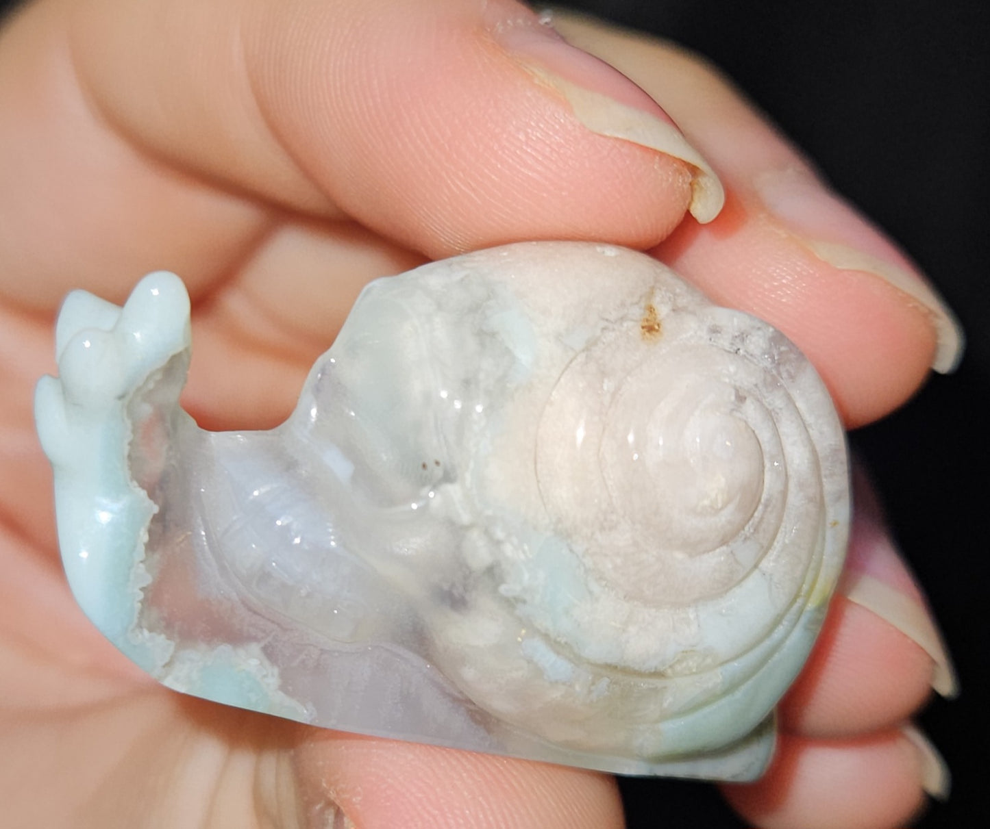 Flower Agate Skull Snail