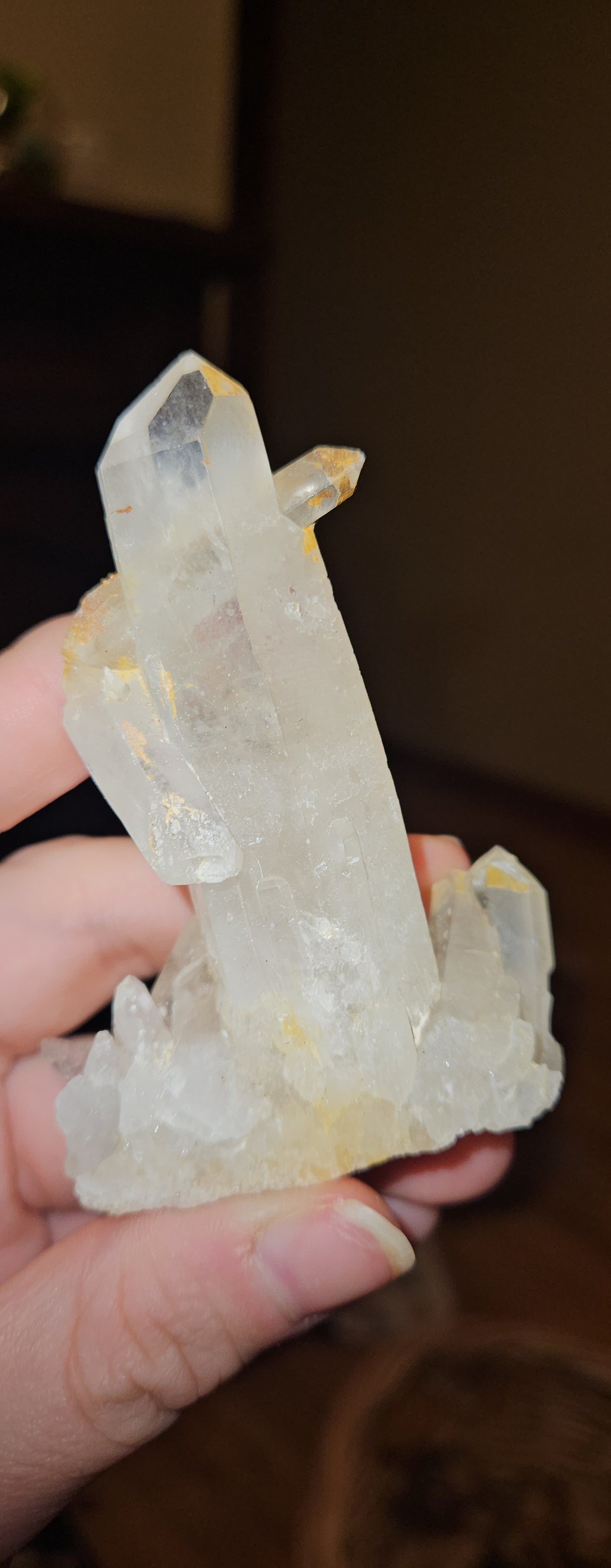 Lemurian Clusters