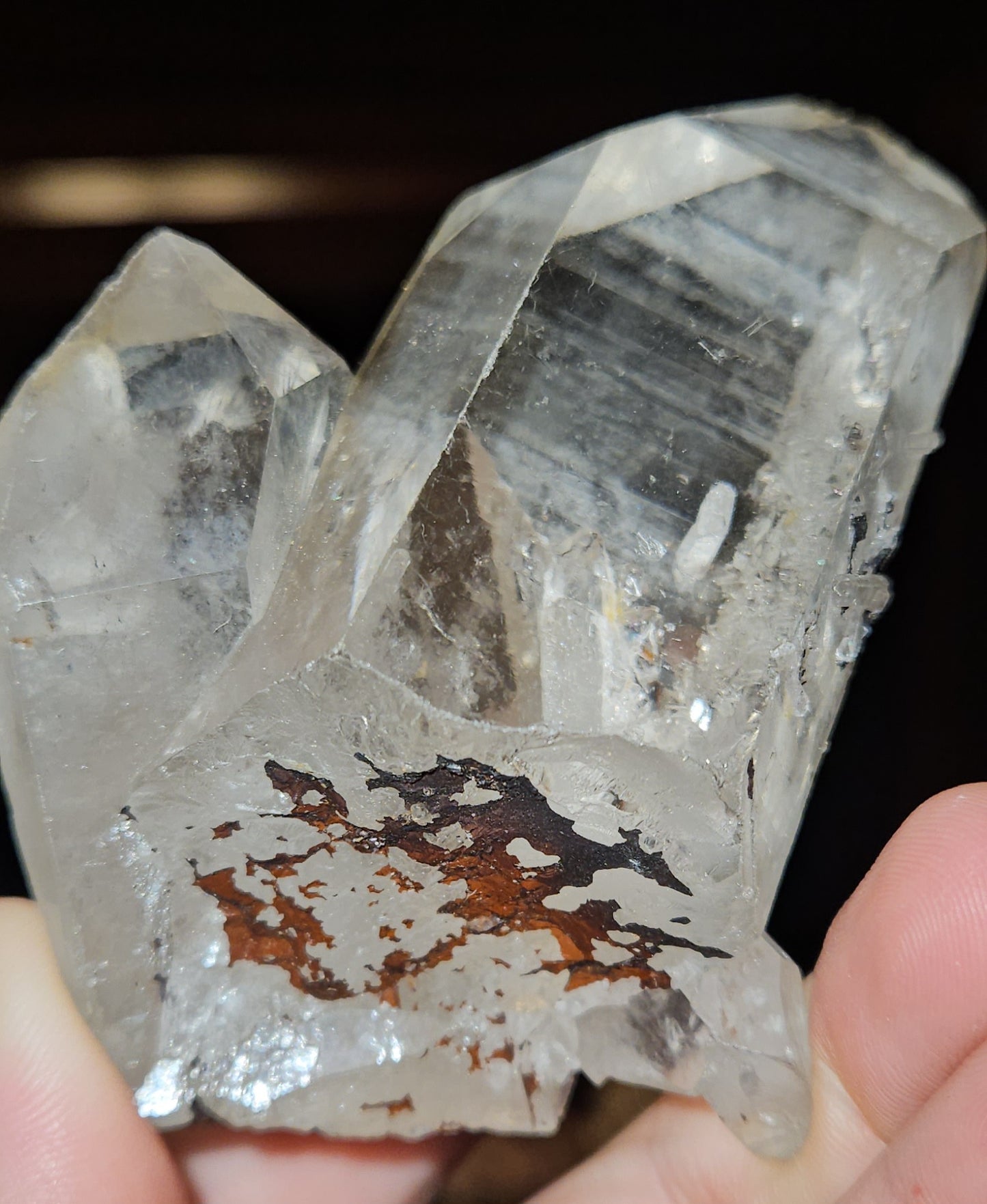 AAA Quality Lemurian Cluster