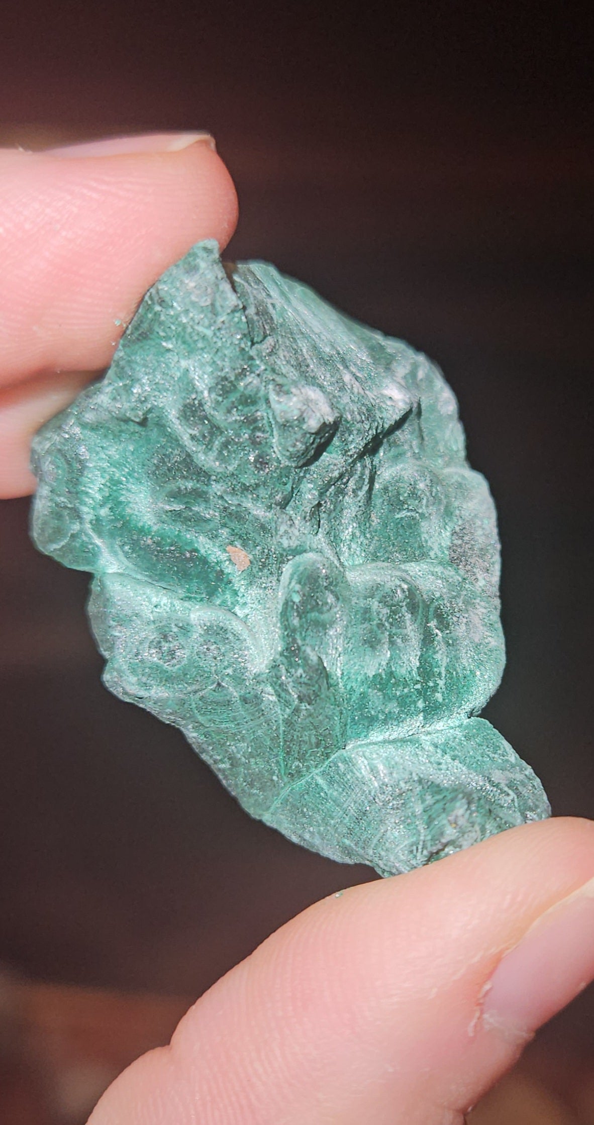 Velvet Malachite
