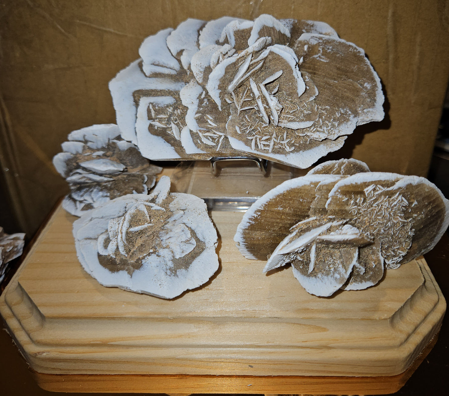 High Quality Desert Rose