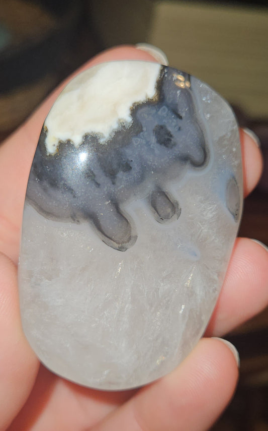 Volcano Agate Palm Stone