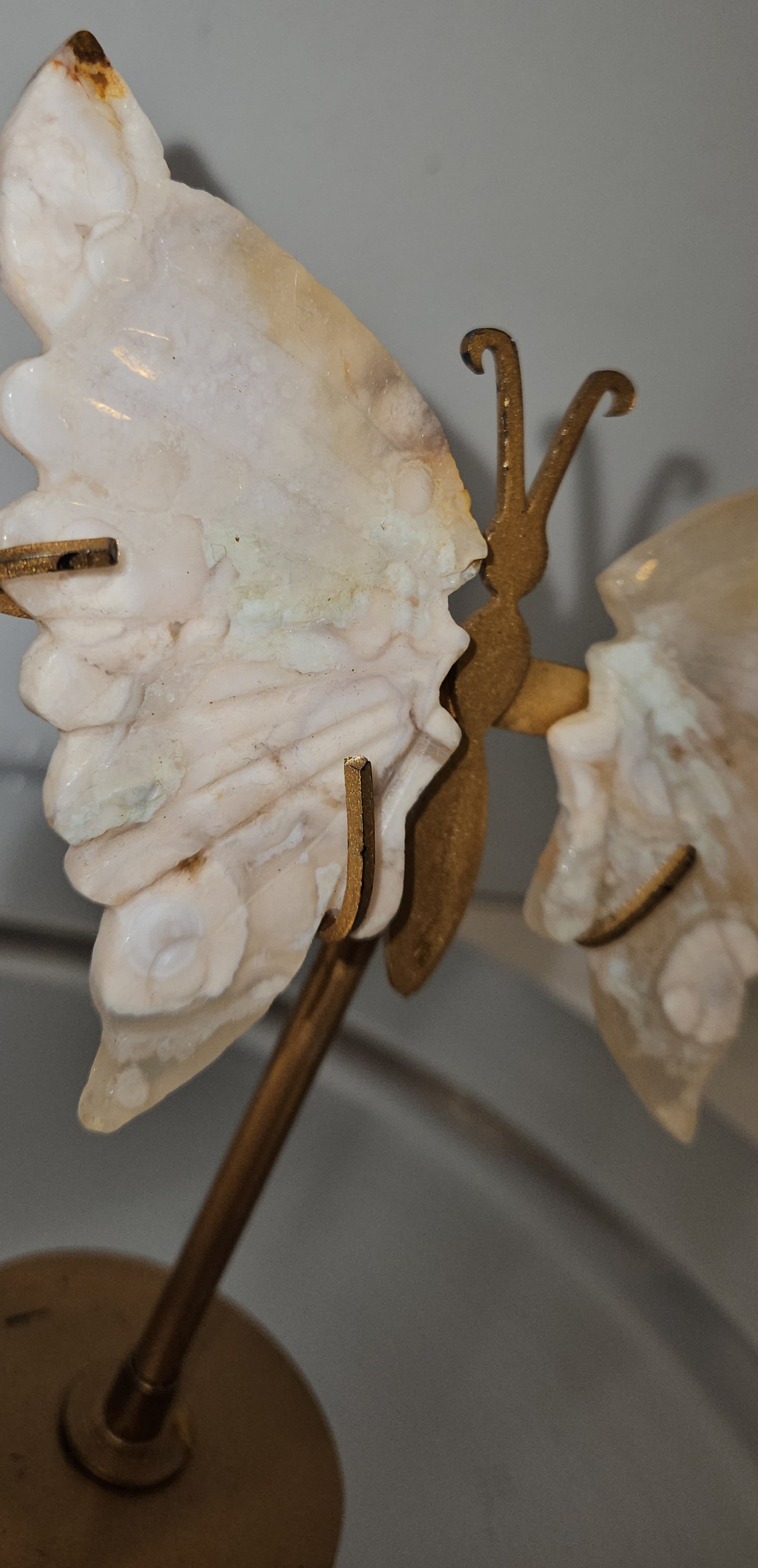 Flower Agate Butterfly Wings