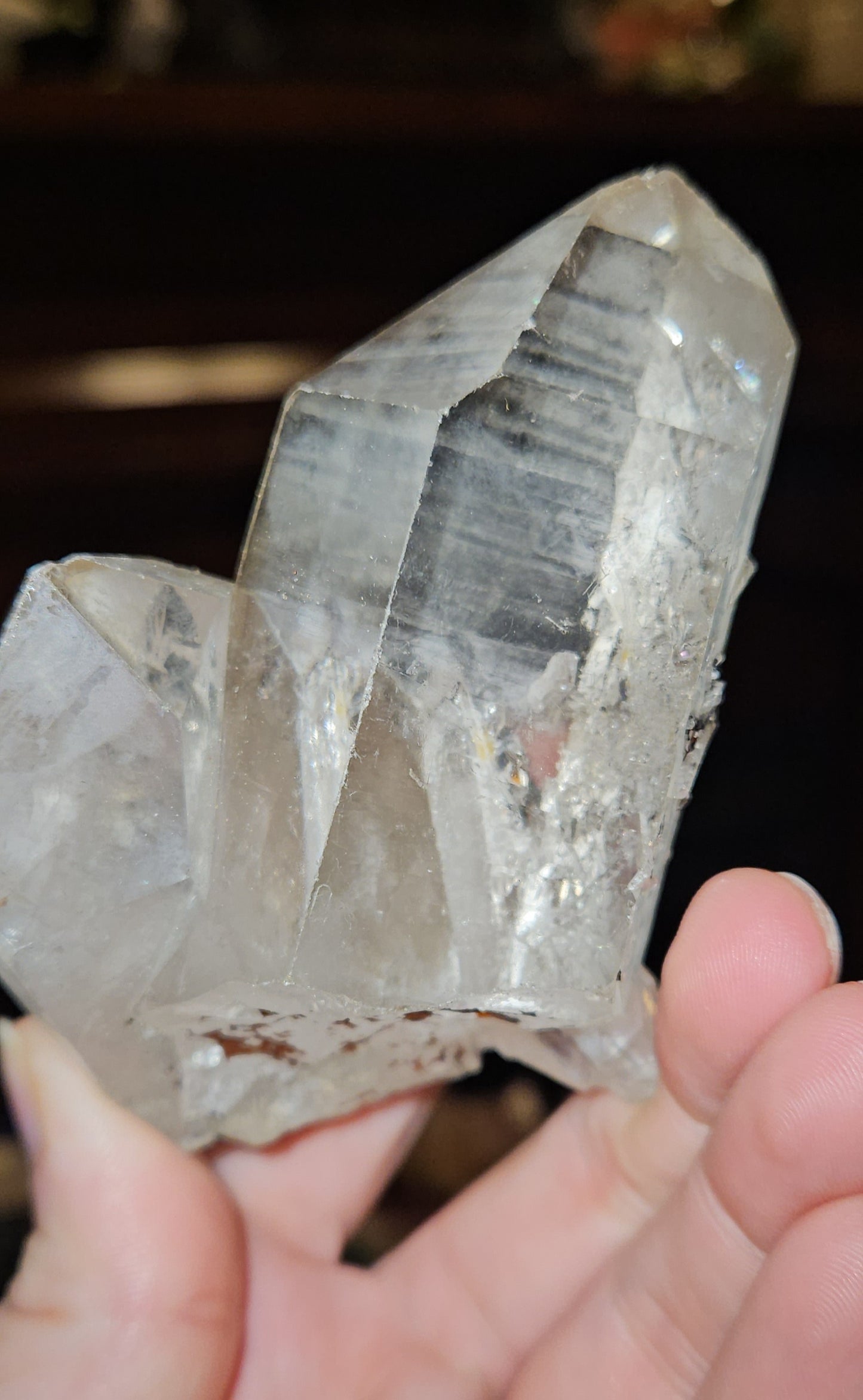 AAA Quality Lemurian Cluster