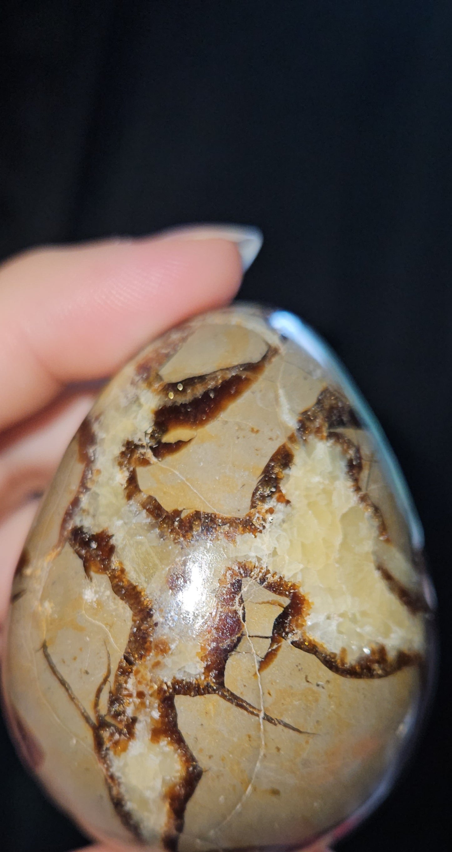 Septarian Egg (Dragons Egg)