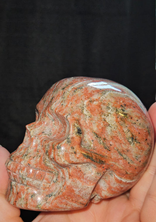 Red Zebra Jasper Skull